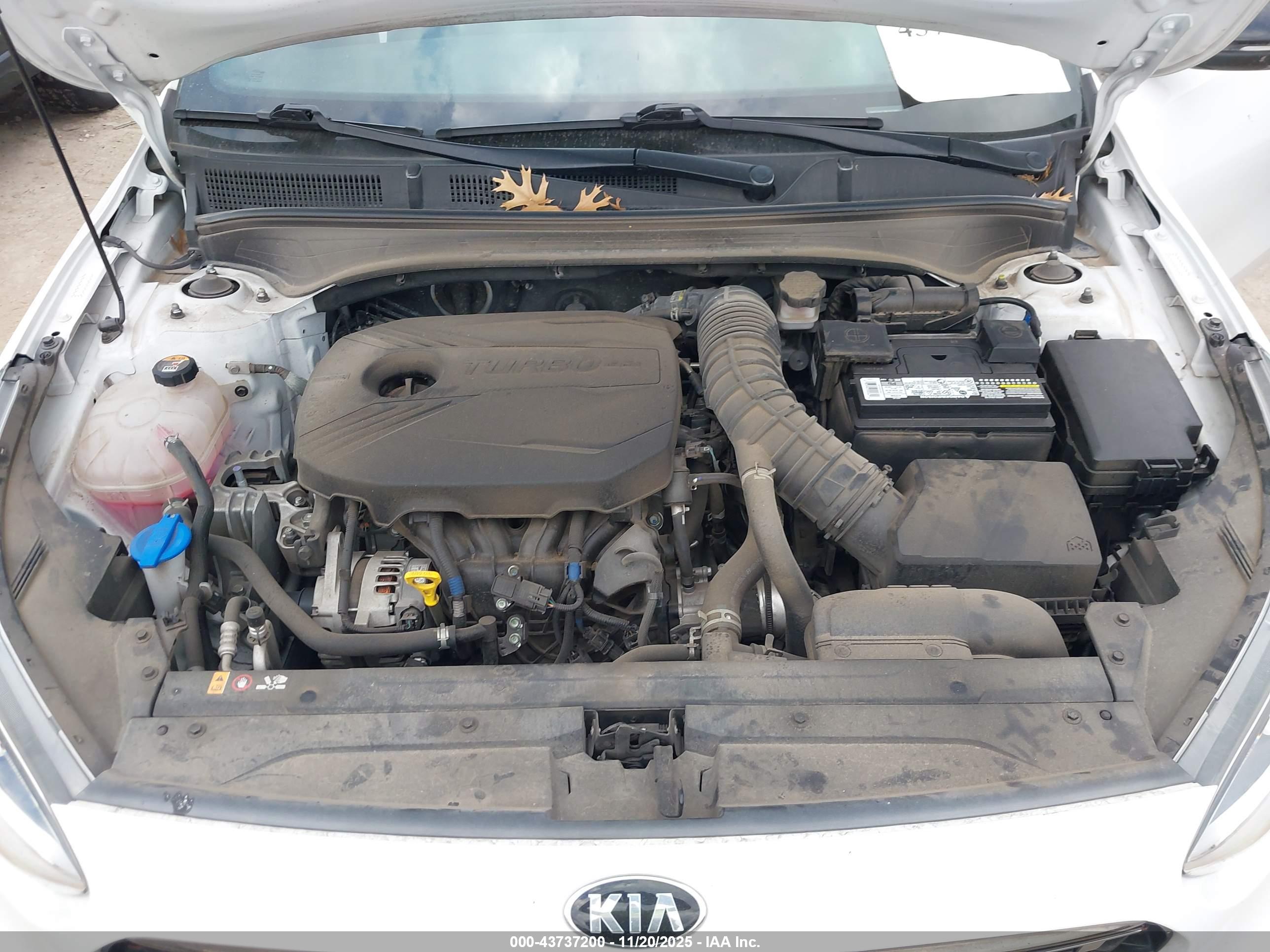 KIA FORTE image 10
