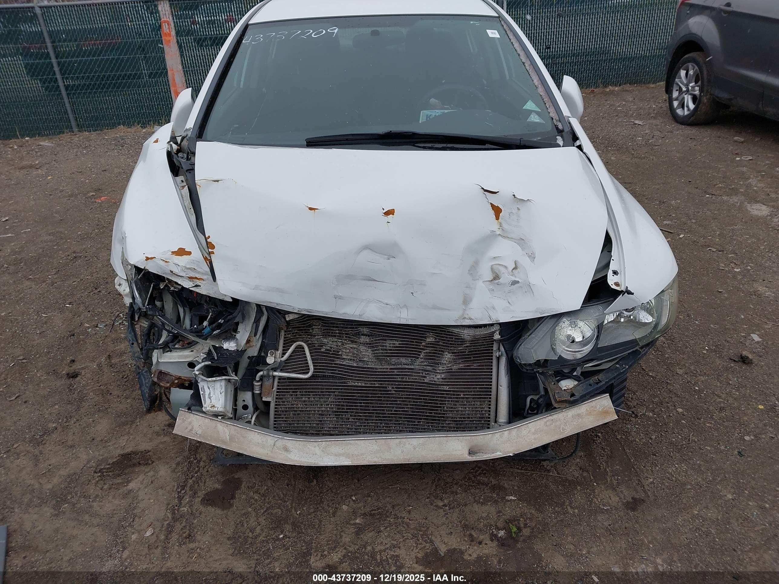 HONDA CIVIC image 6