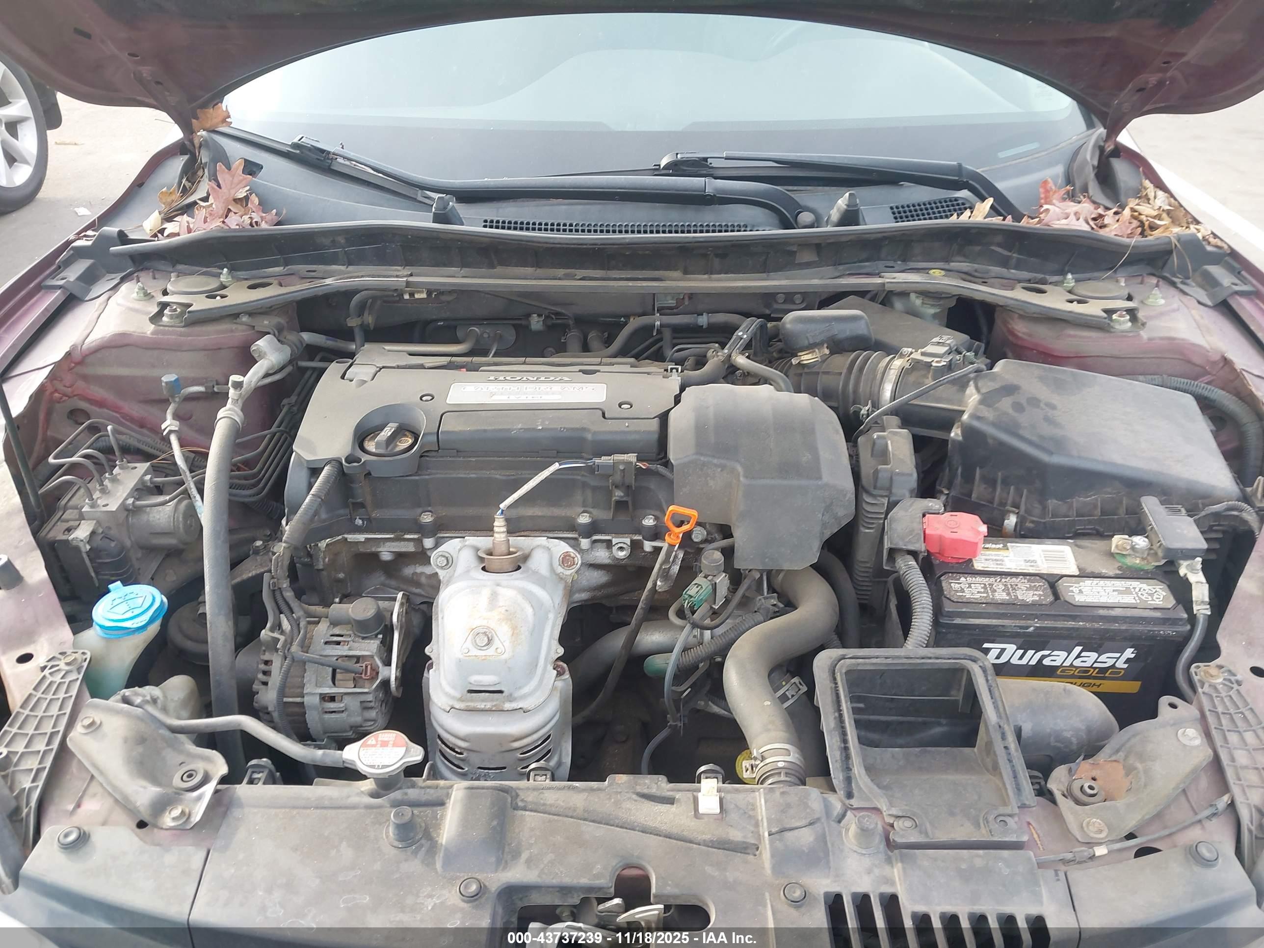 HONDA ACCORD image 10