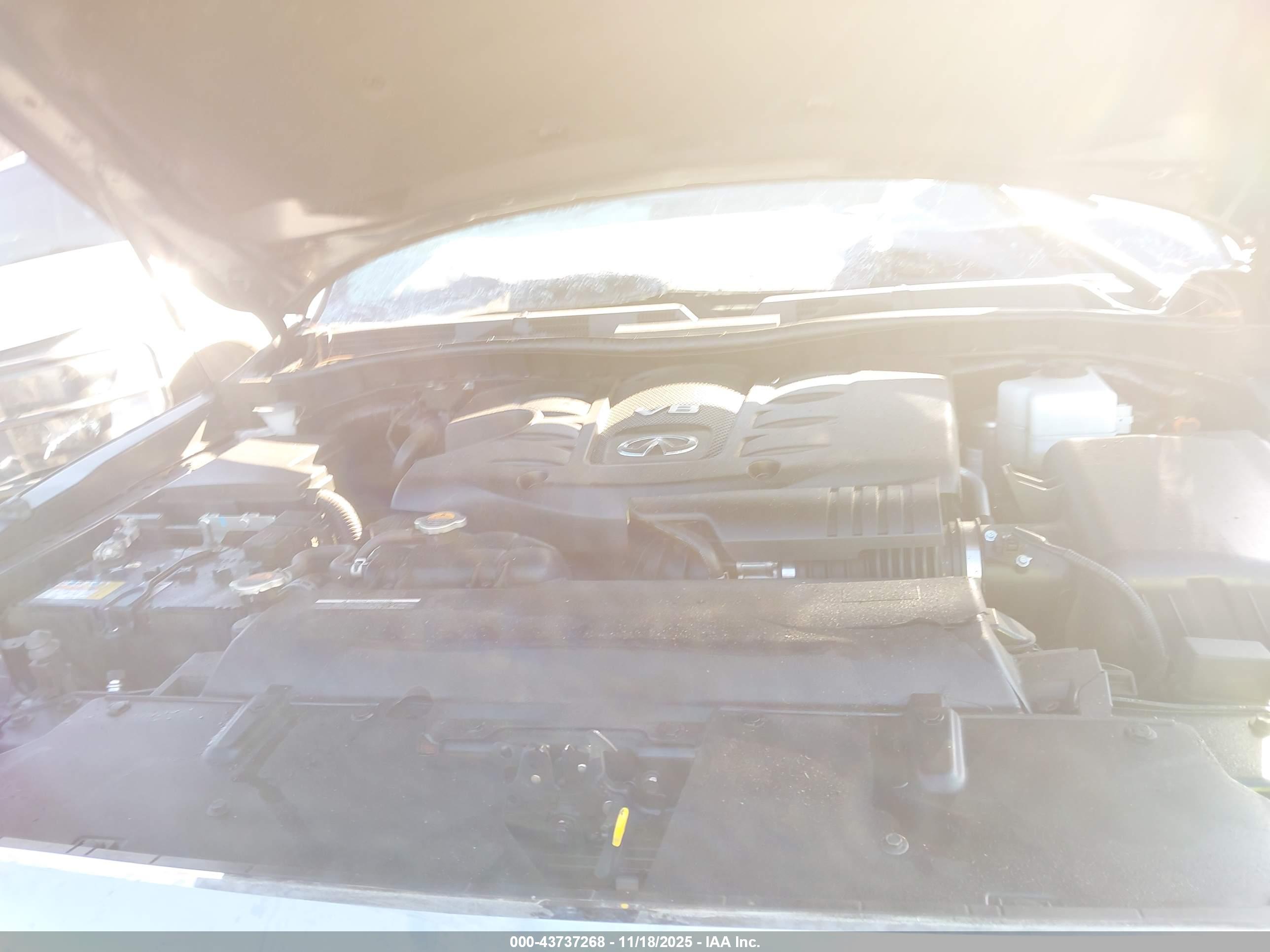 INFINITI QX80 image 10