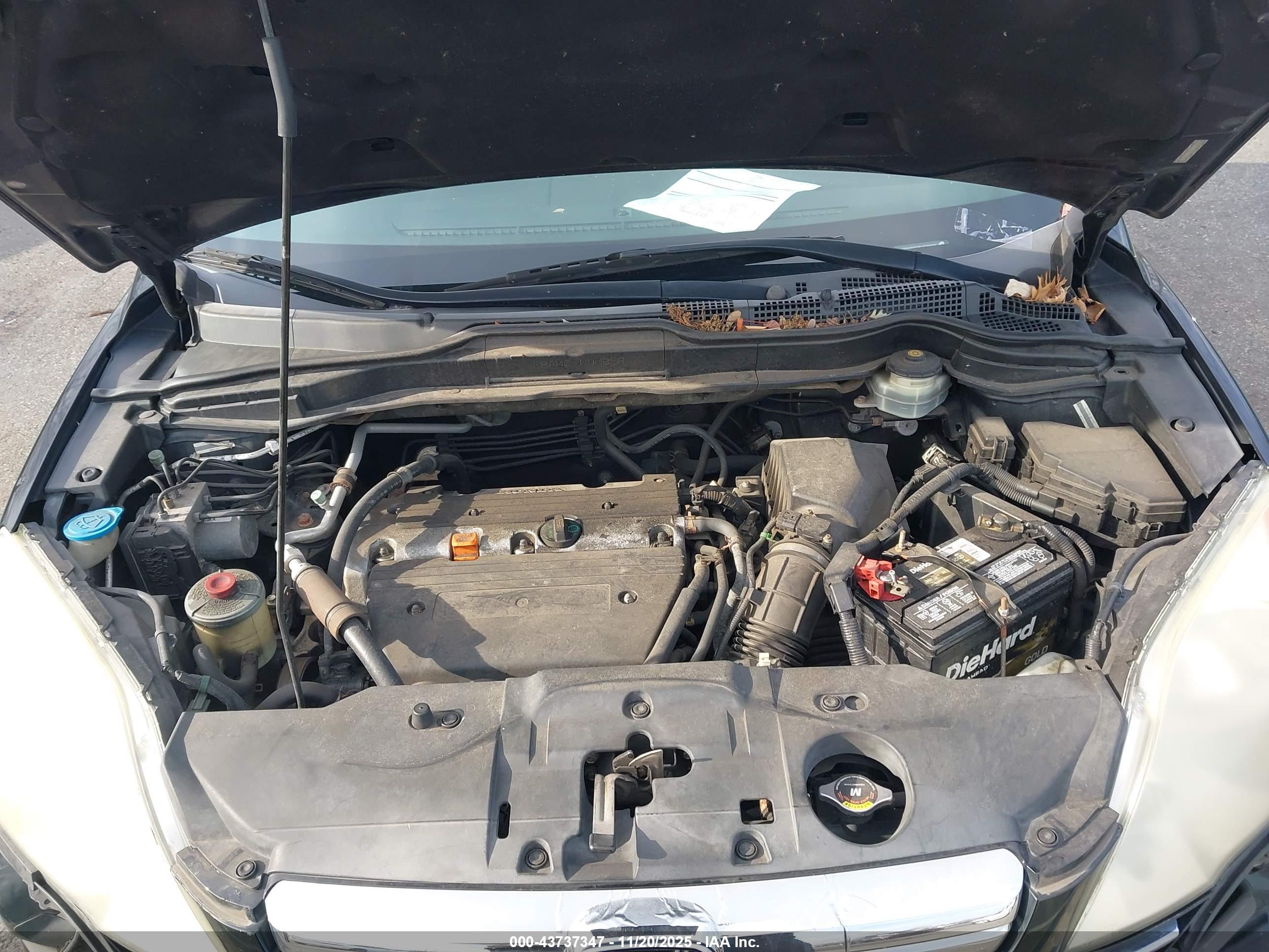 HONDA CR-V image 10