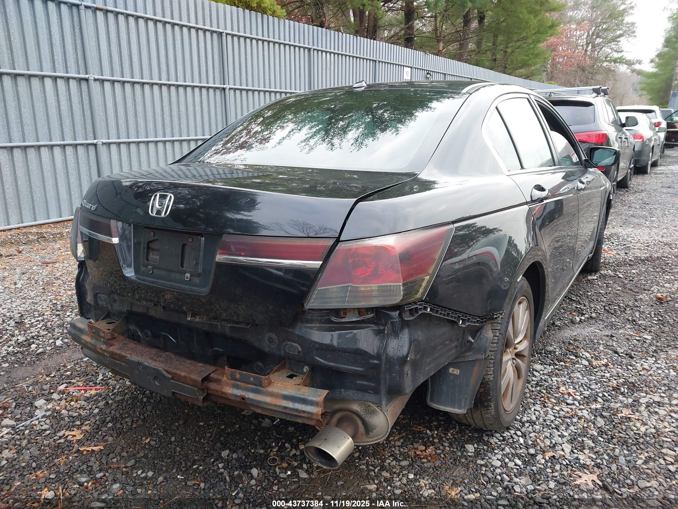 HONDA ACCORD image 4