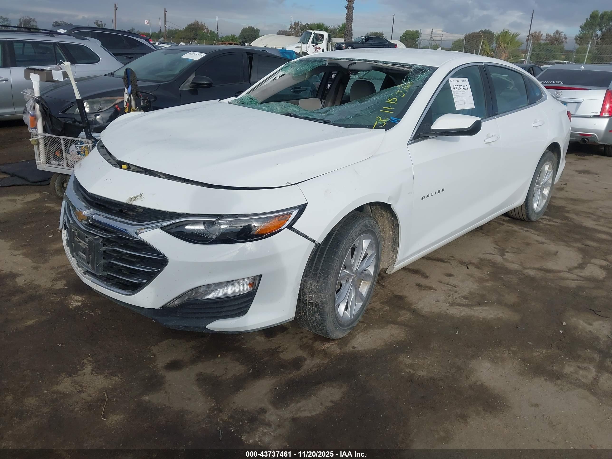 CHEVROLET MALIBU image 2