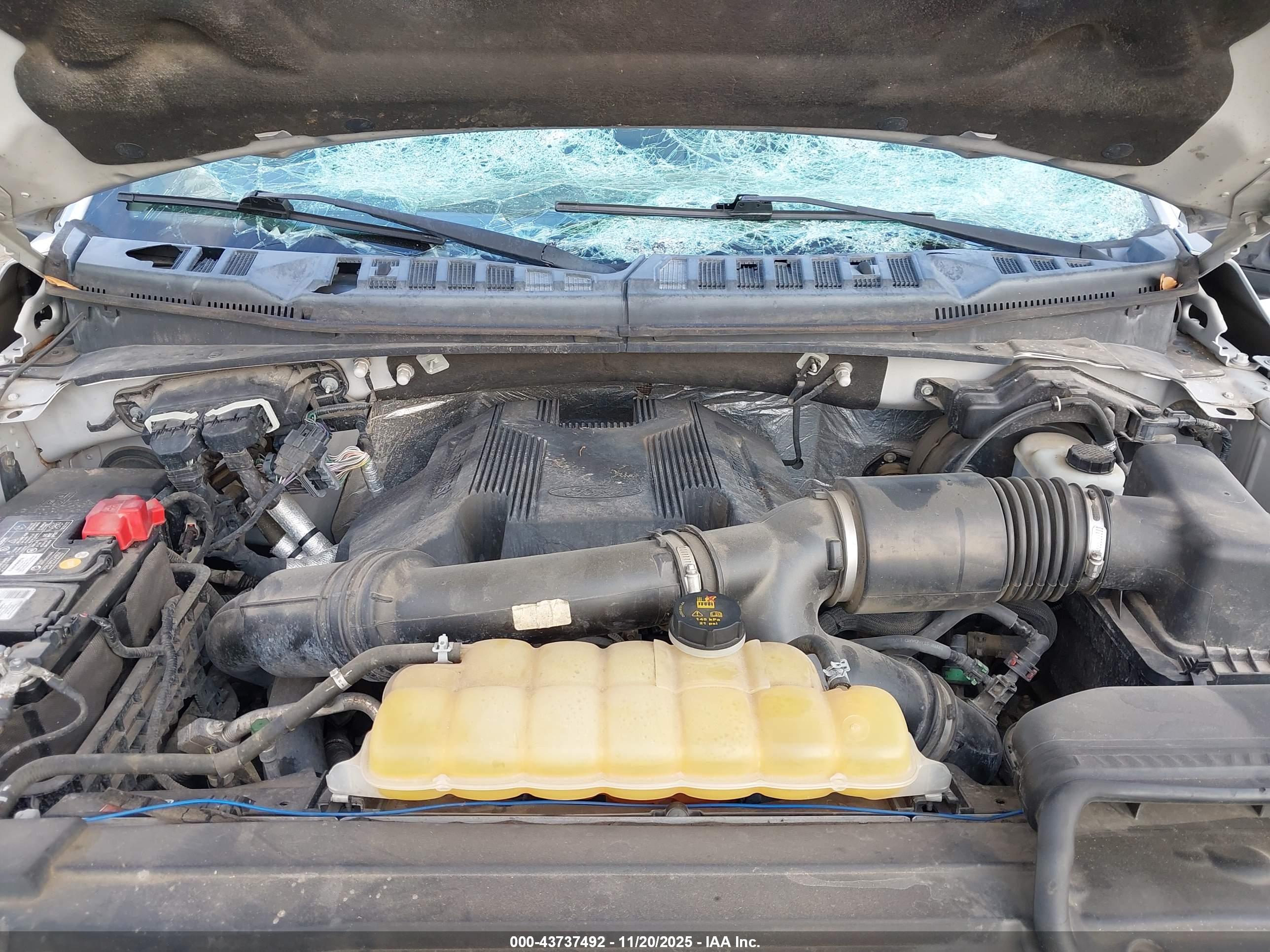 FORD F-150 image 10