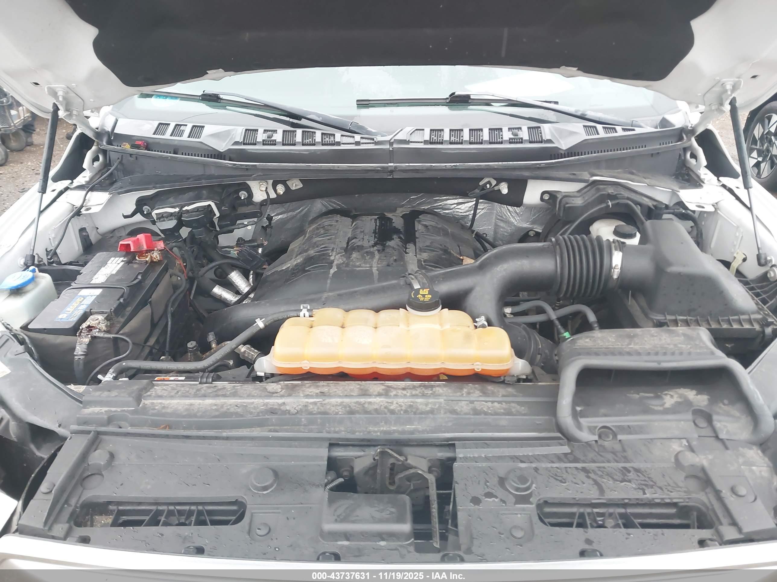 FORD F-150 image 10