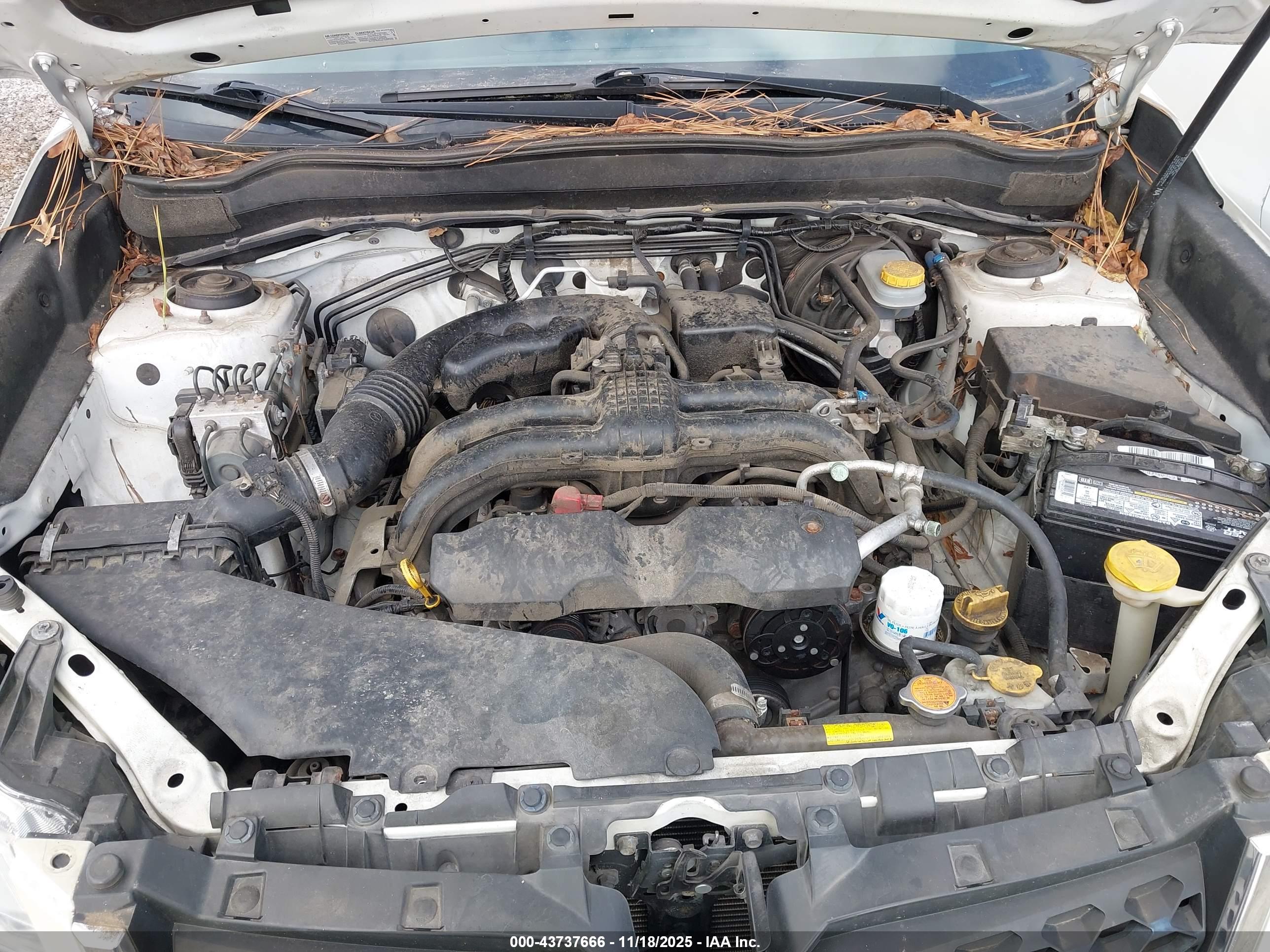 SUBARU FORESTER image 10