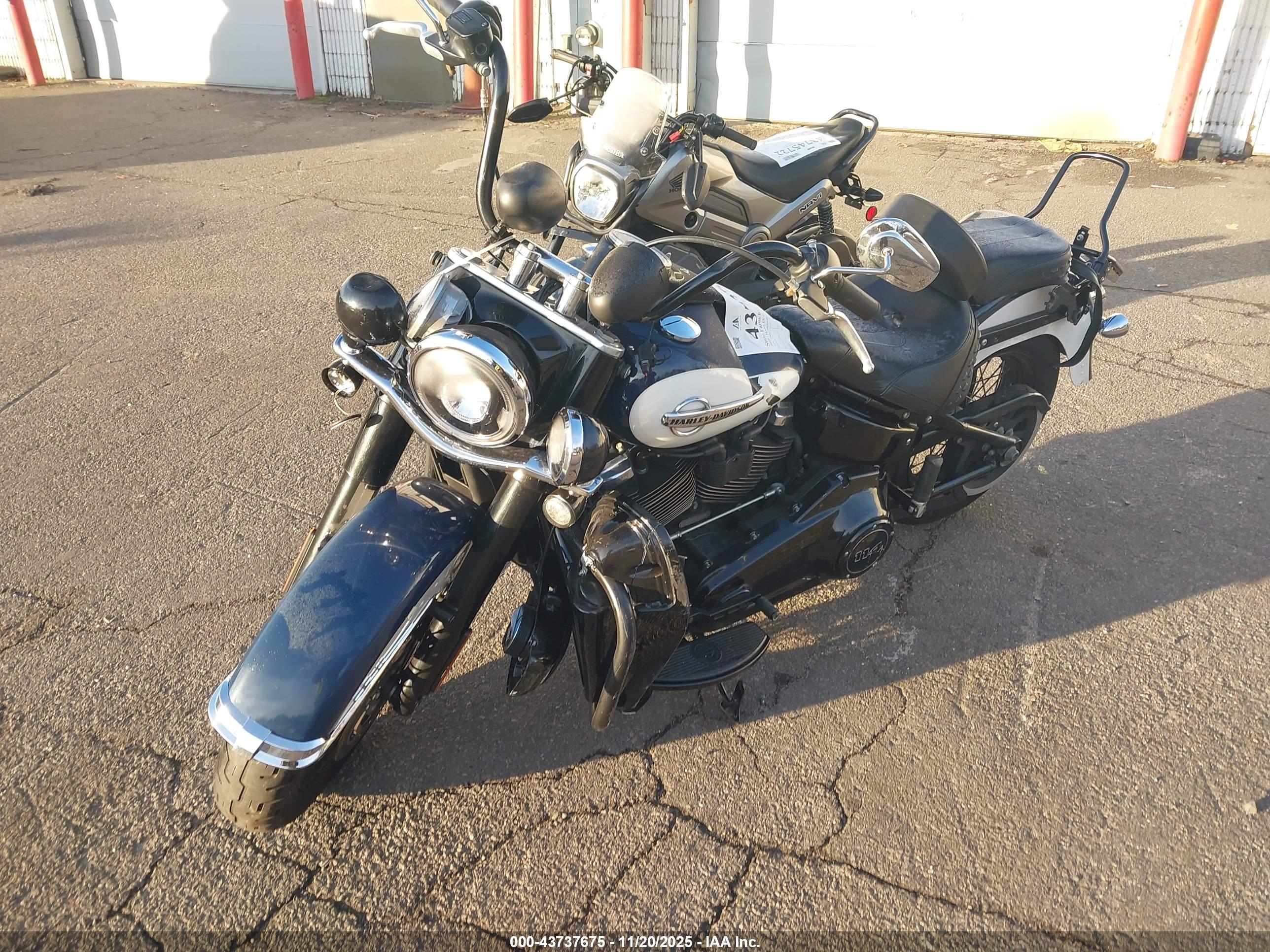 HARLEY-DAVIDSON FLHCS image 2
