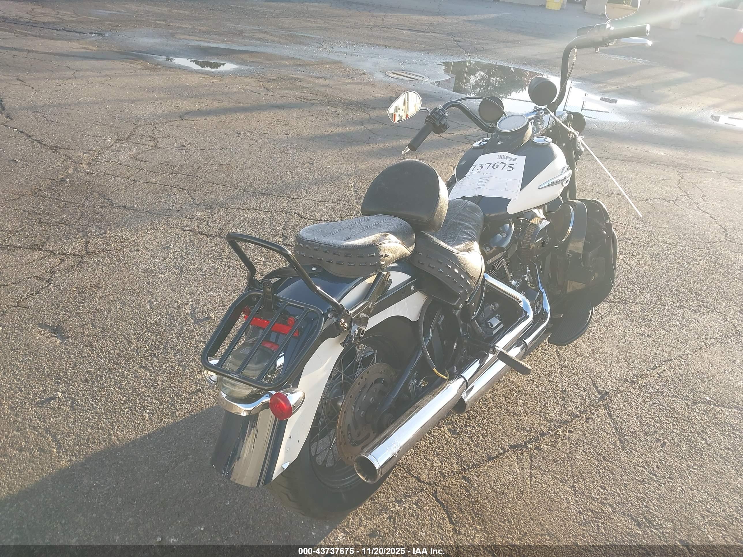 HARLEY-DAVIDSON FLHCS image 4