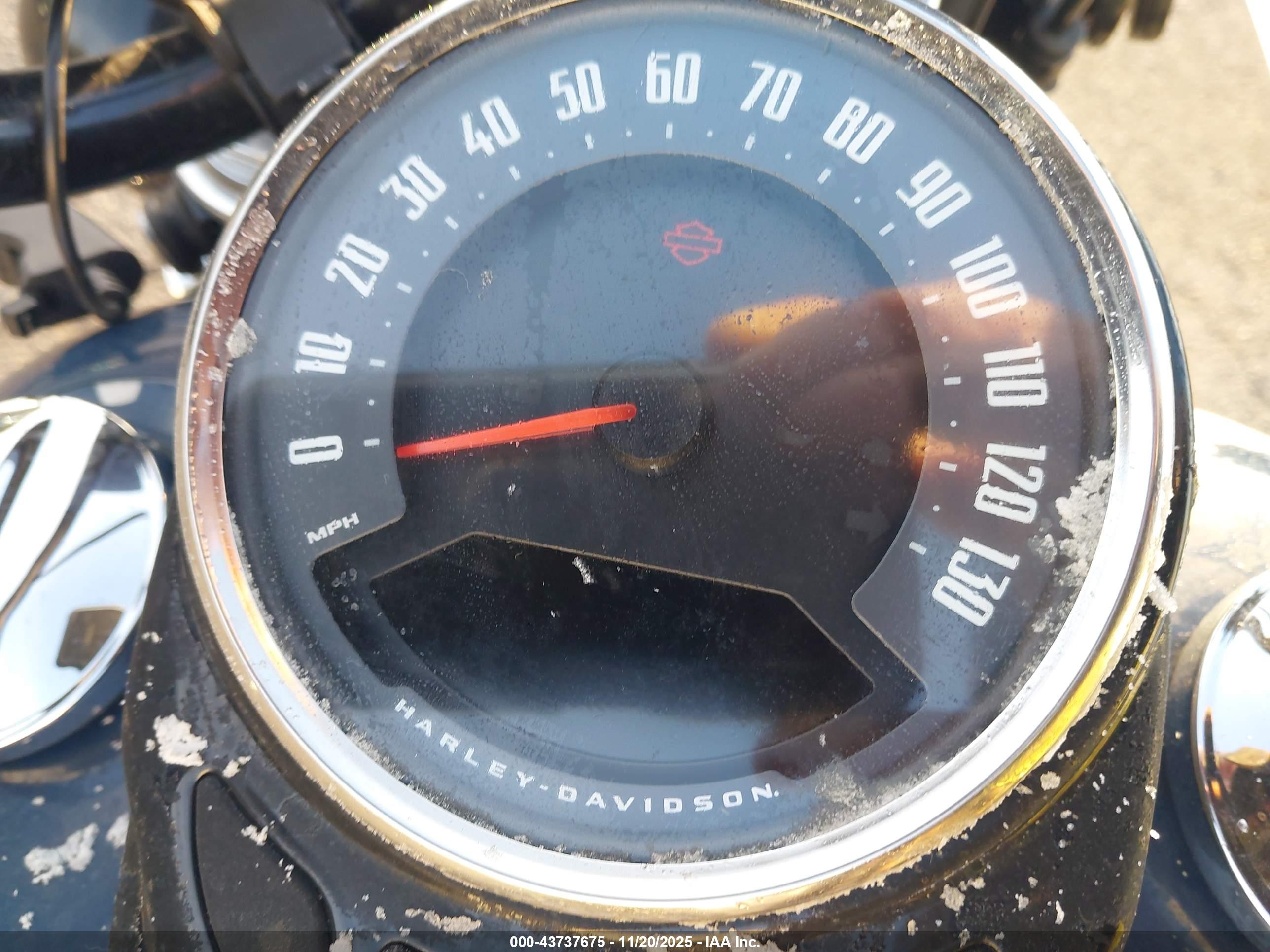 HARLEY-DAVIDSON FLHCS image 7