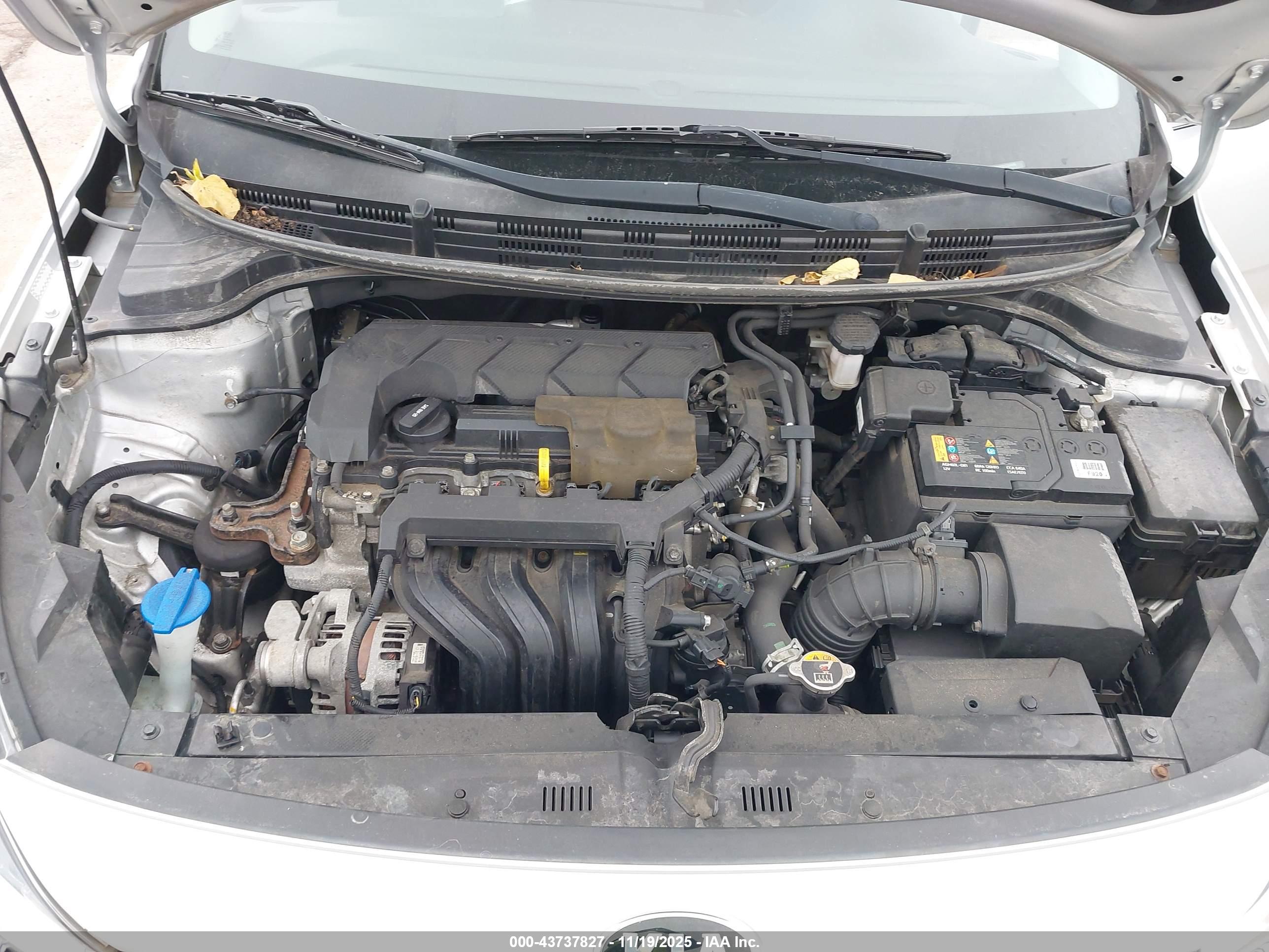 KIA RIO image 10