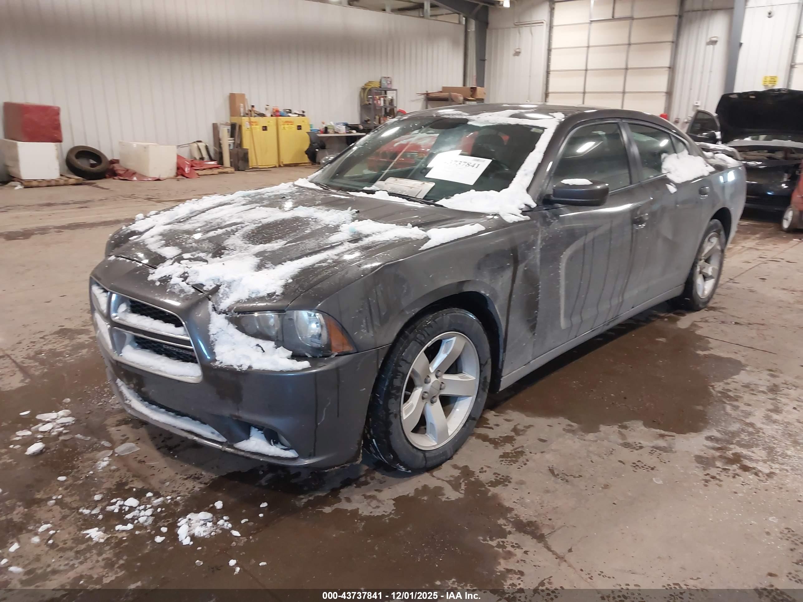 DODGE CHARGER image 2