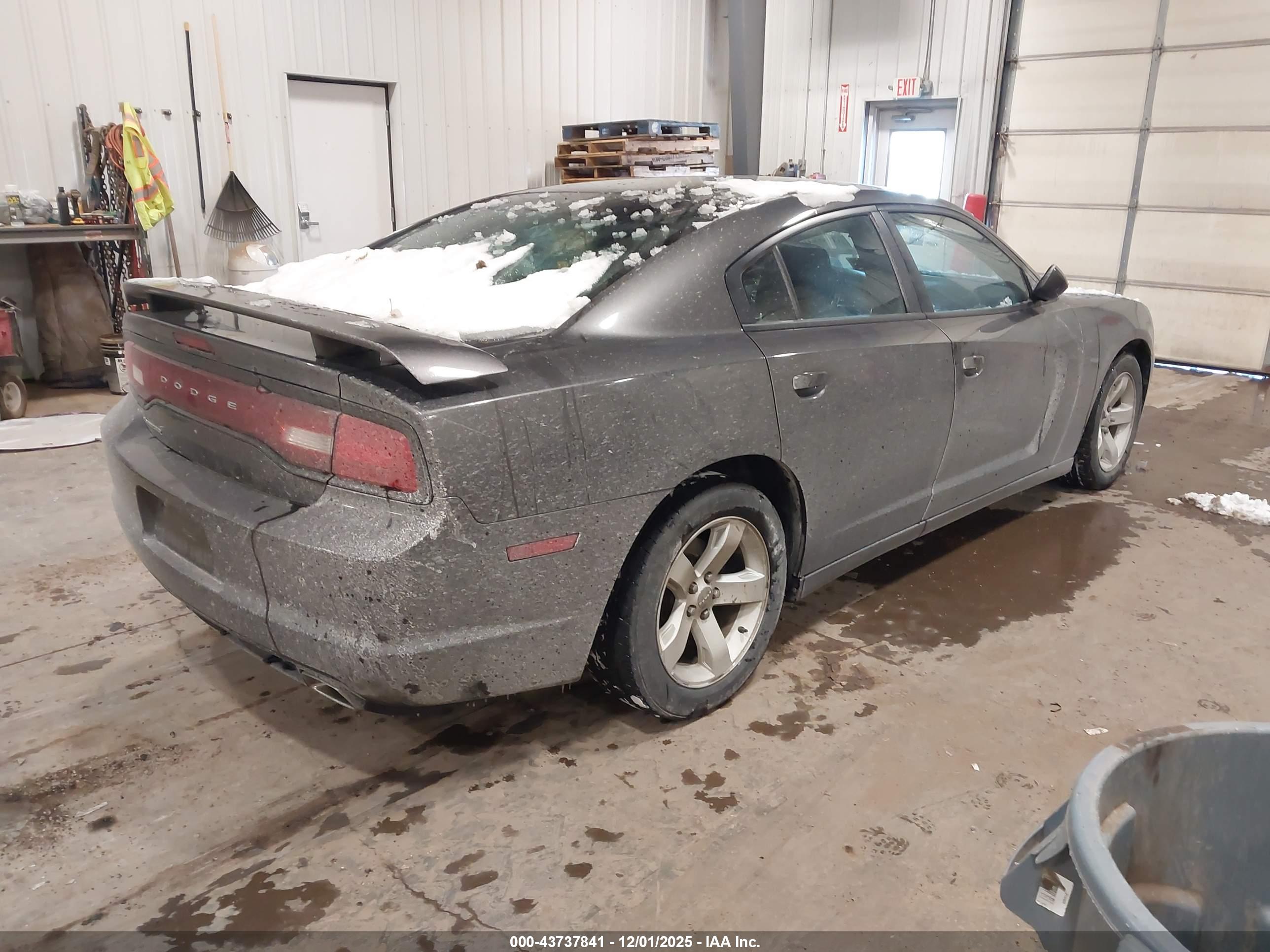 DODGE CHARGER image 4