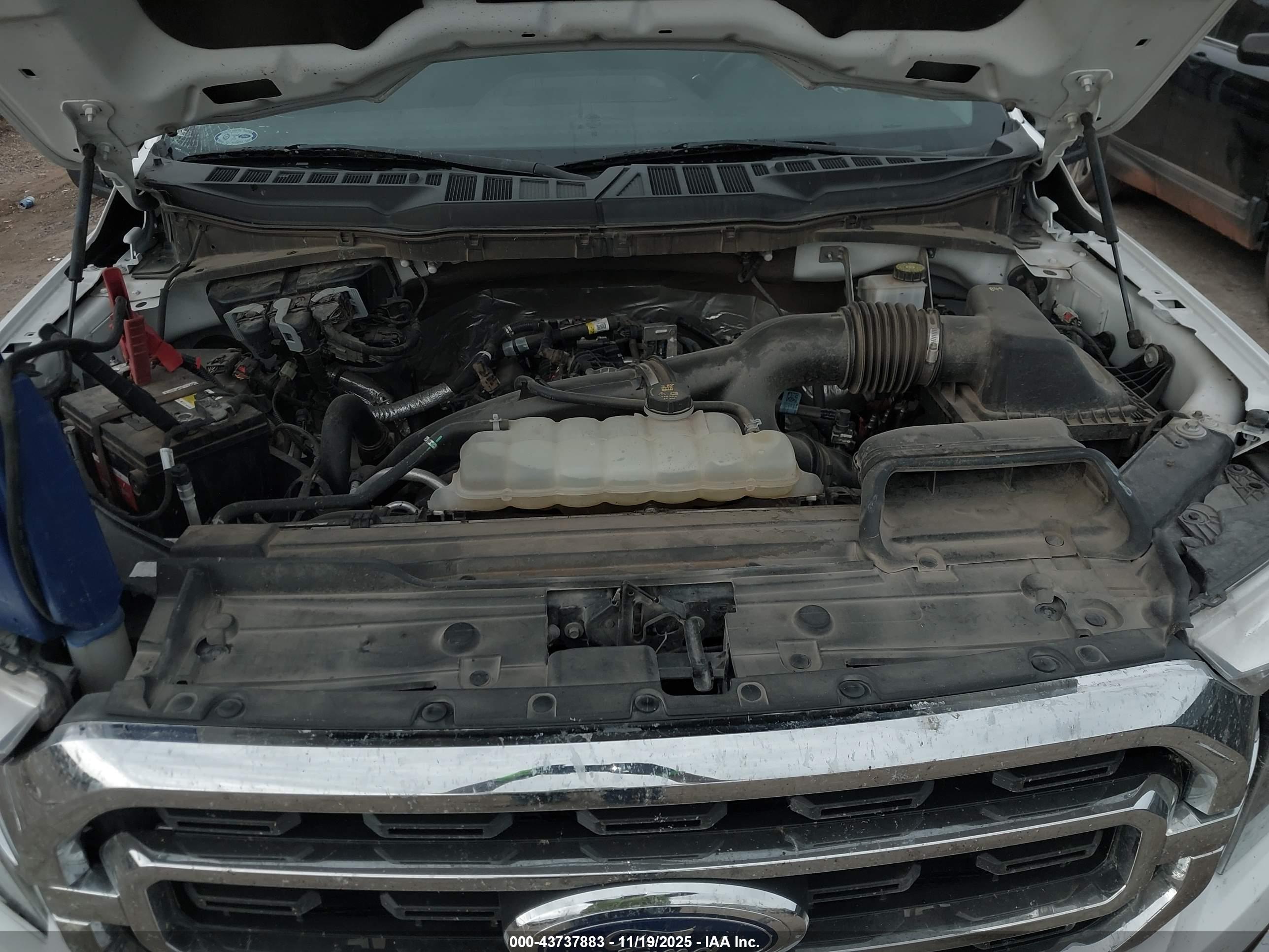 FORD F-150 image 10