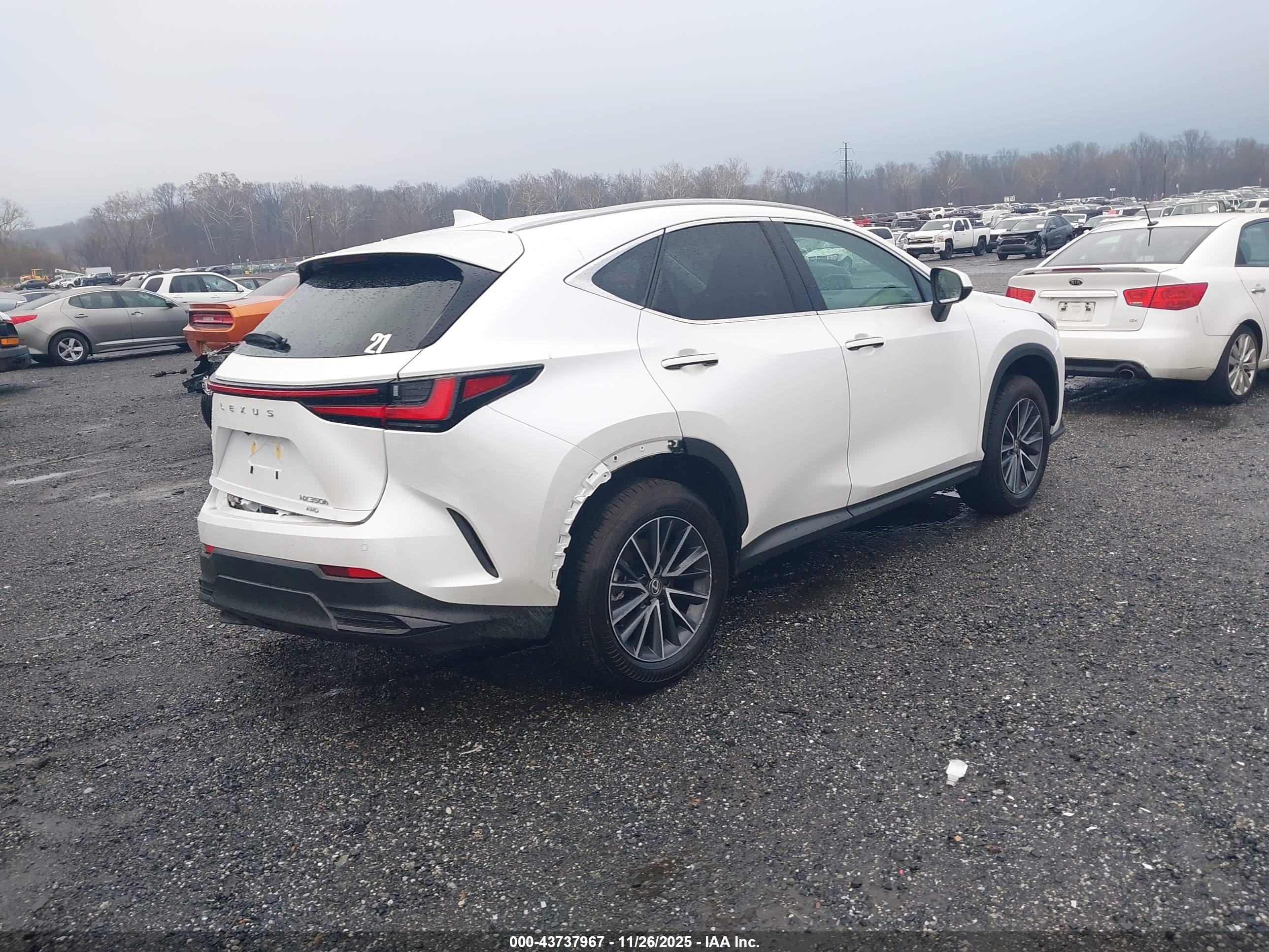 LEXUS NX image 4