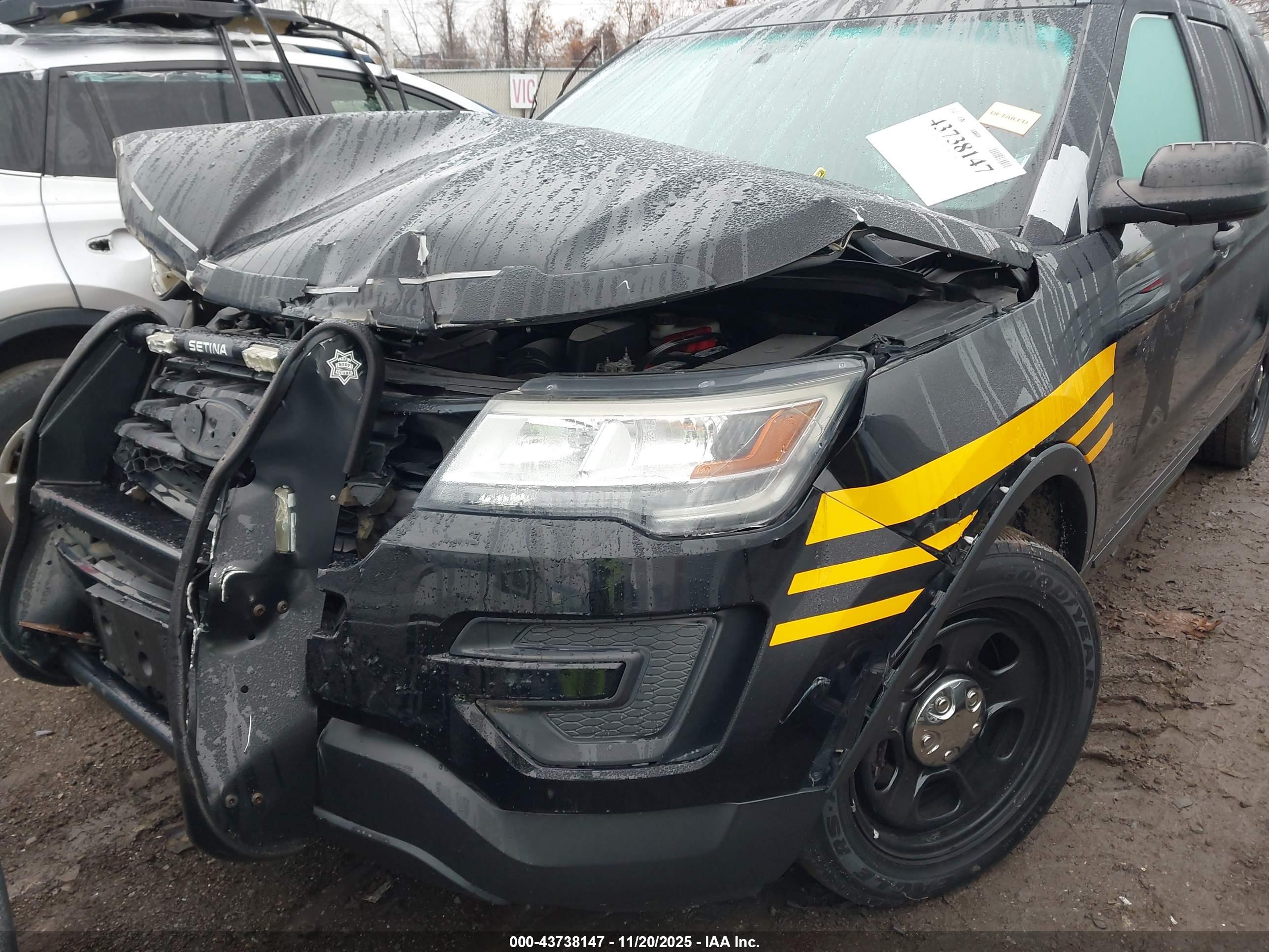 FORD UTILITY image 6