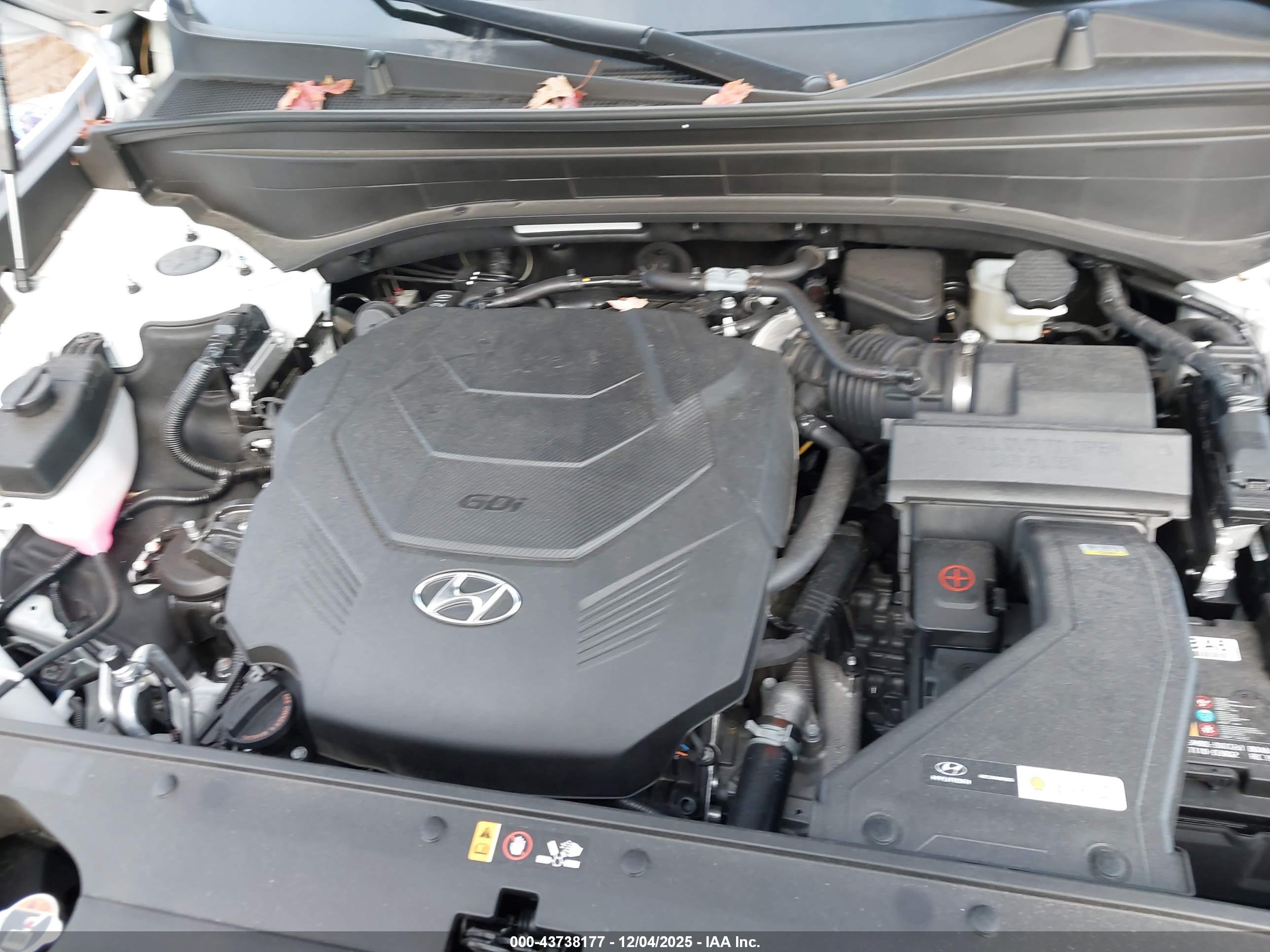 HYUNDAI PALISADE image 10
