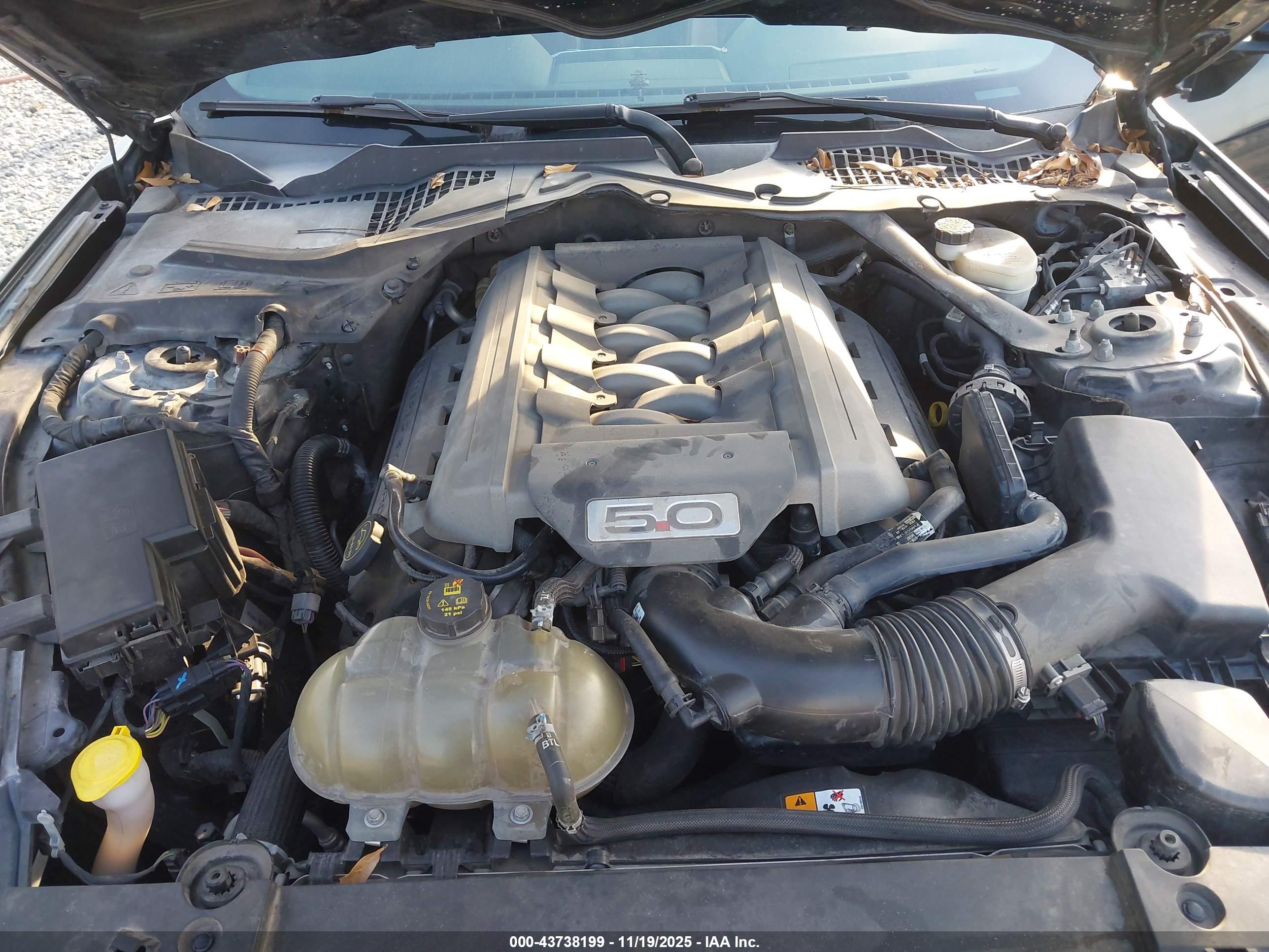 FORD MUSTANG image 10