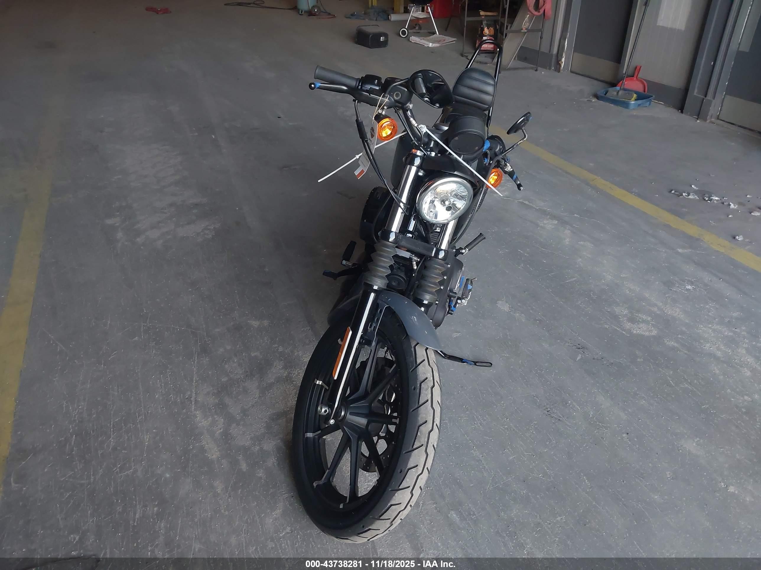 HARLEY-DAVIDSON XL883 image 5