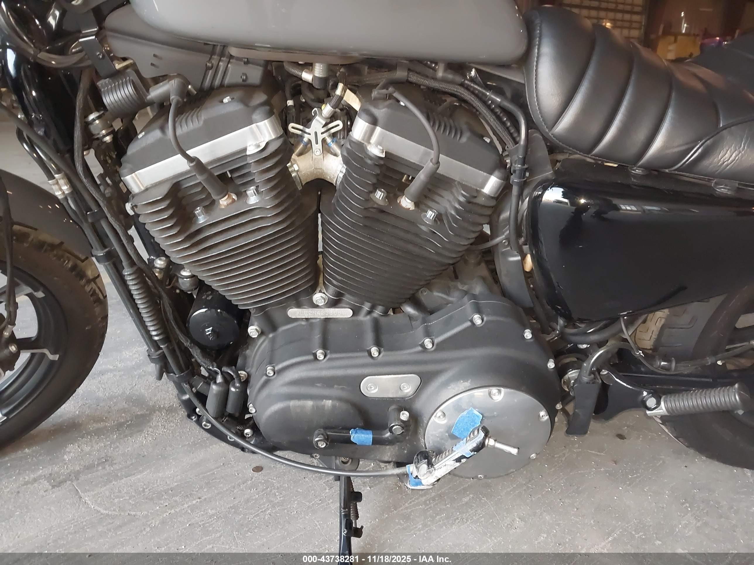 HARLEY-DAVIDSON XL883 image 9