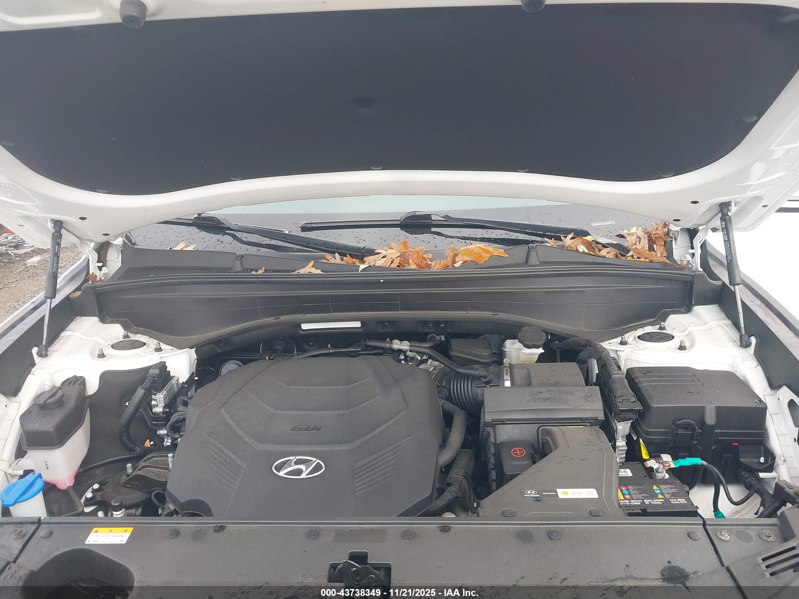 HYUNDAI PALISADE image 10