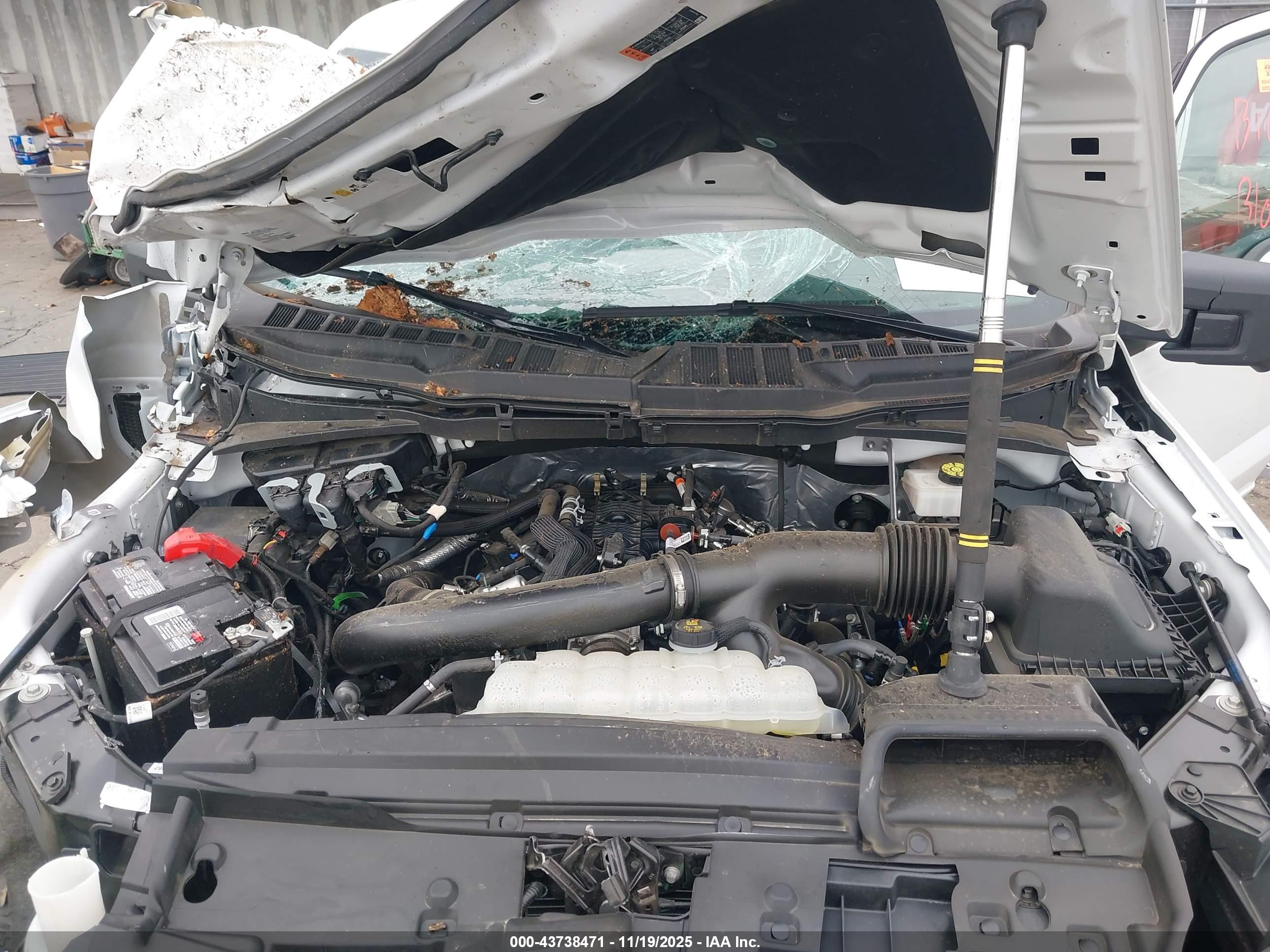FORD F-150 image 10
