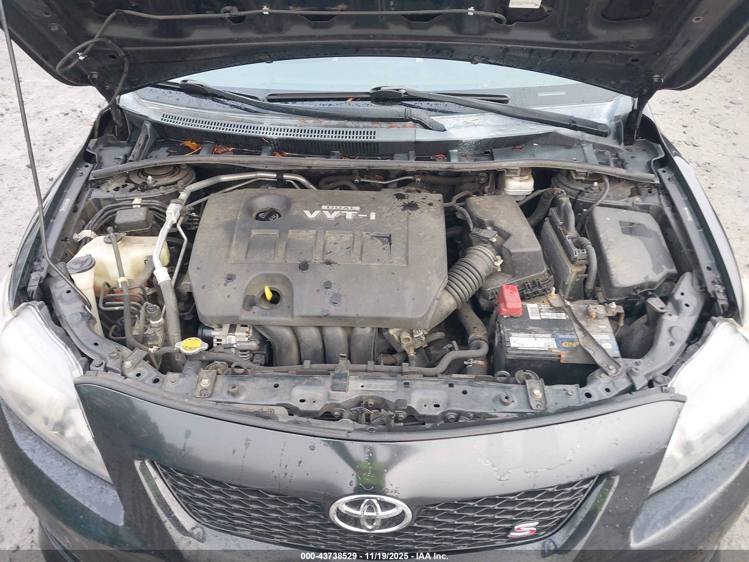 TOYOTA COROLLA image 10