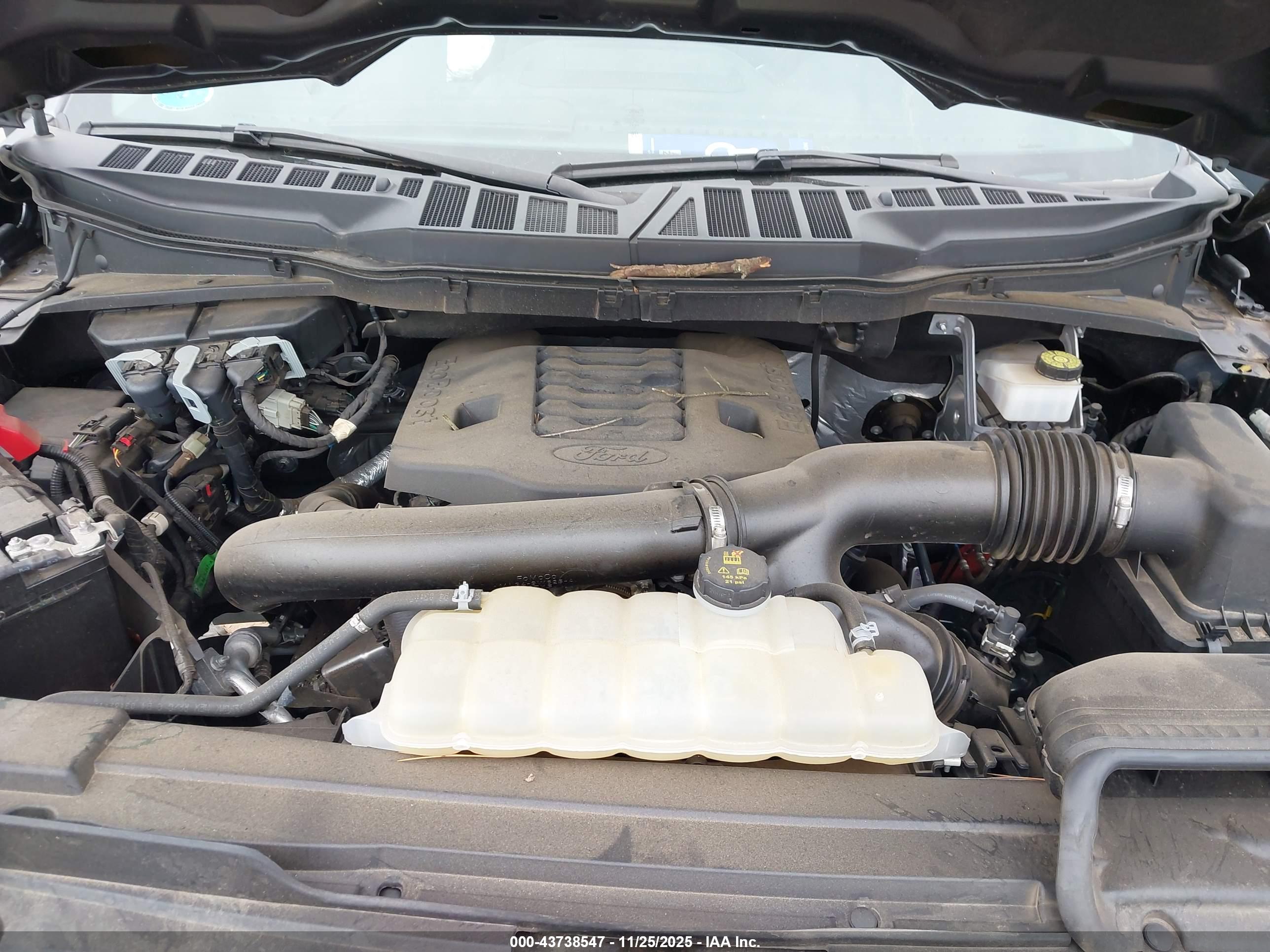 FORD F-150 image 10
