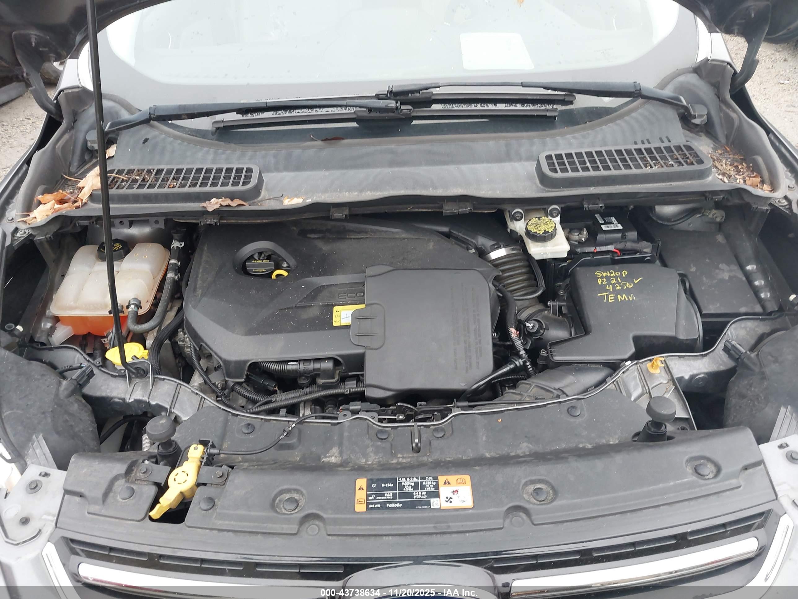 FORD ESCAPE image 10