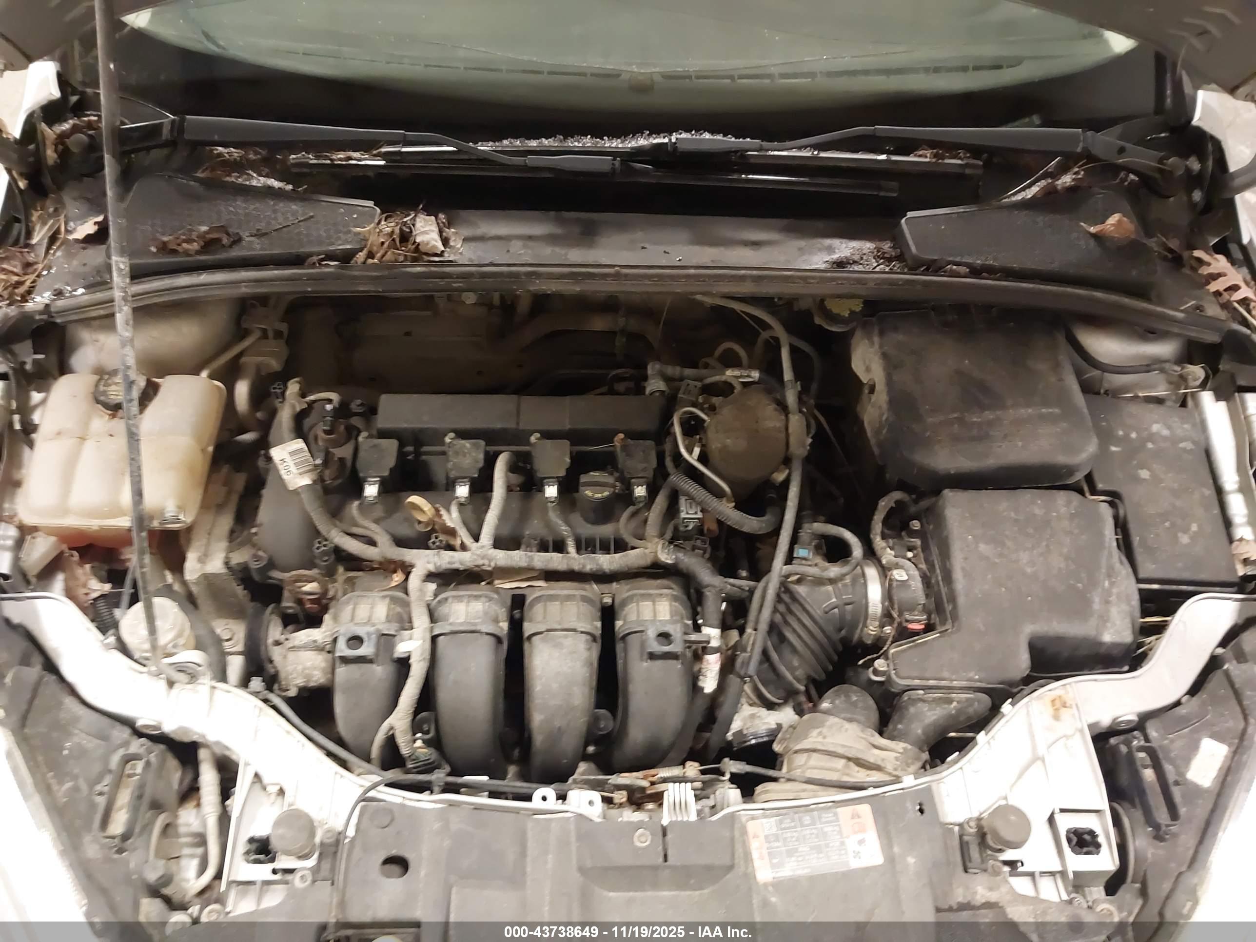 FORD FOCUS image 10