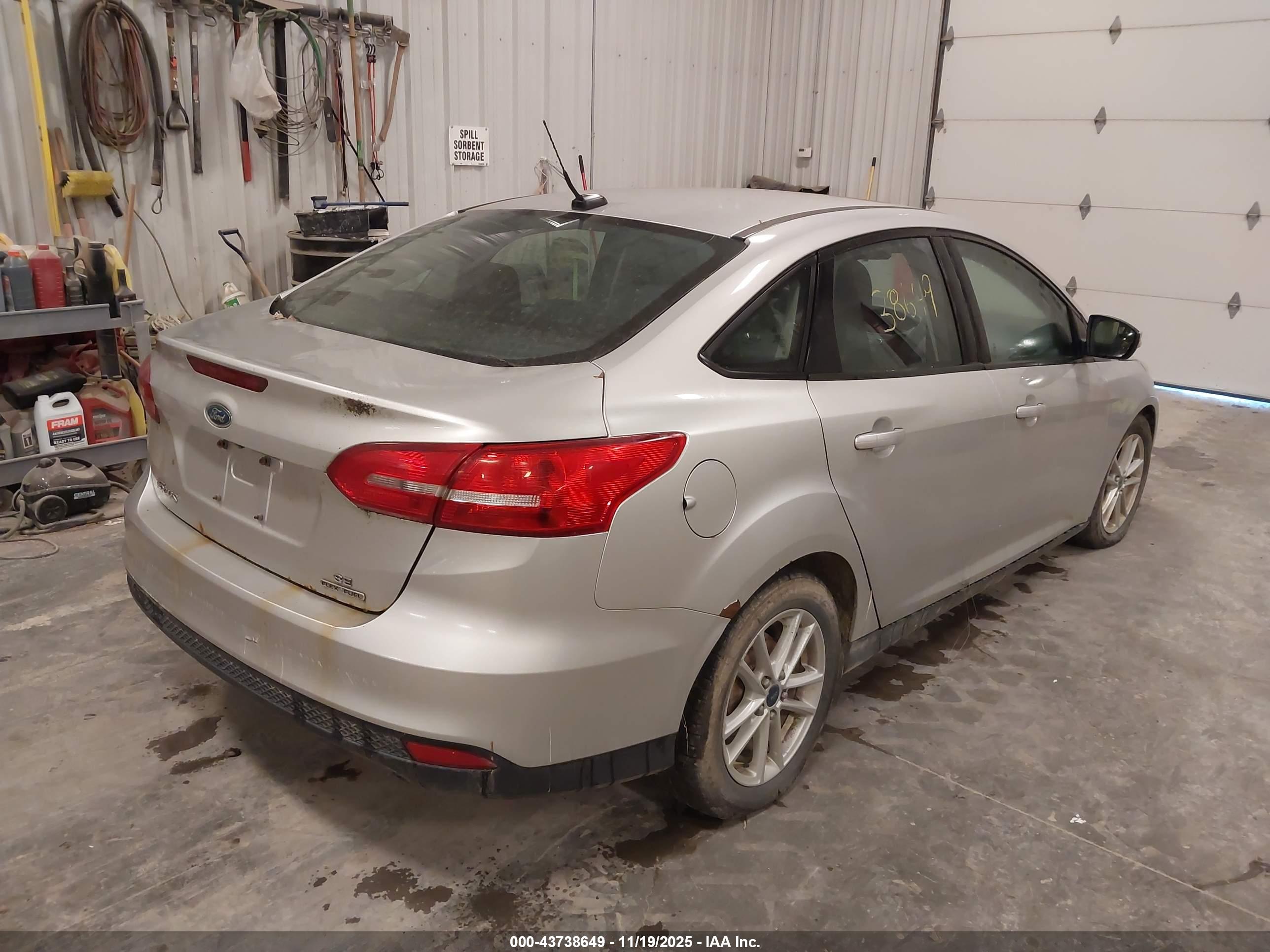 FORD FOCUS image 4