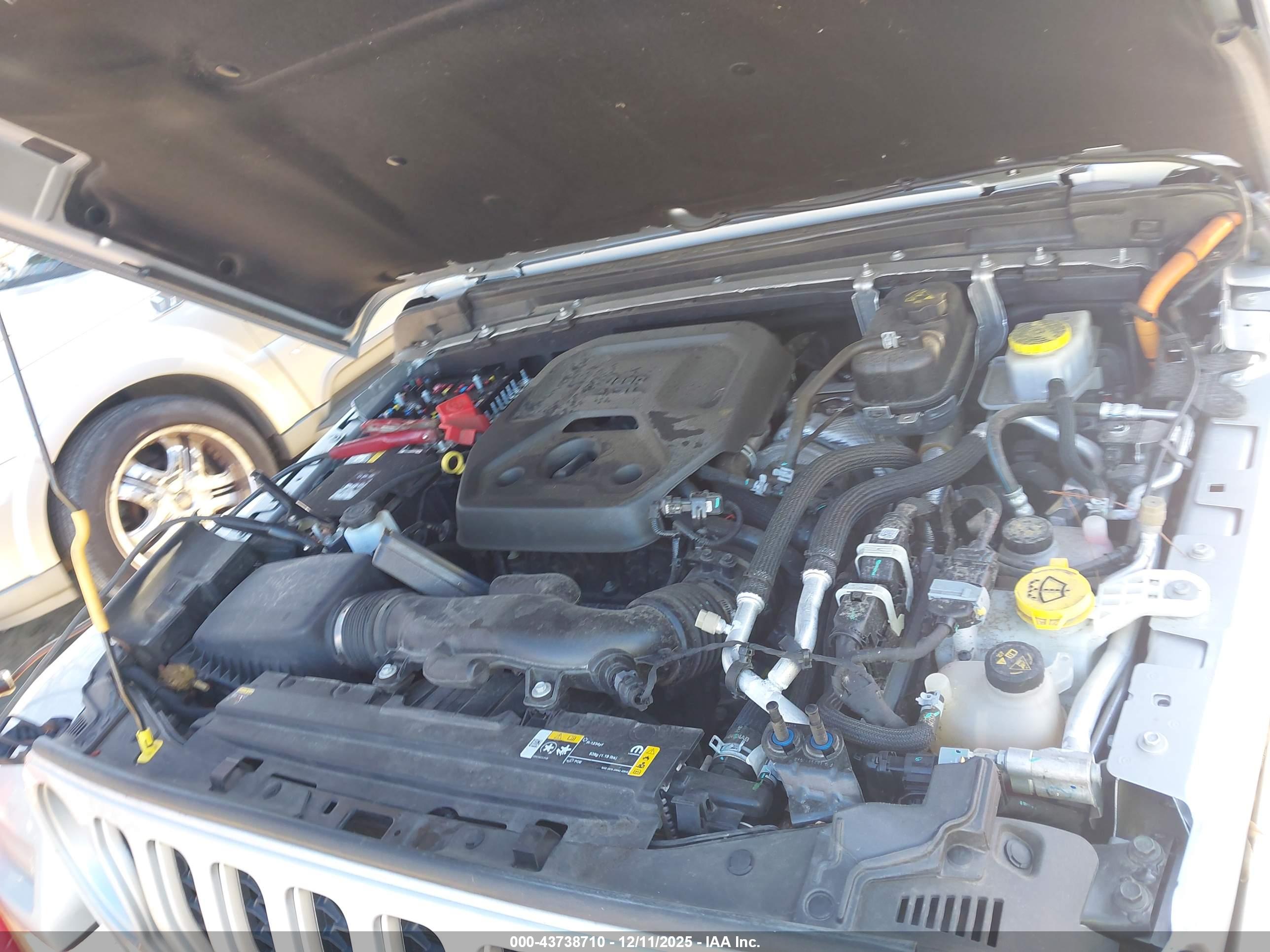 JEEP WRANGLER image 10