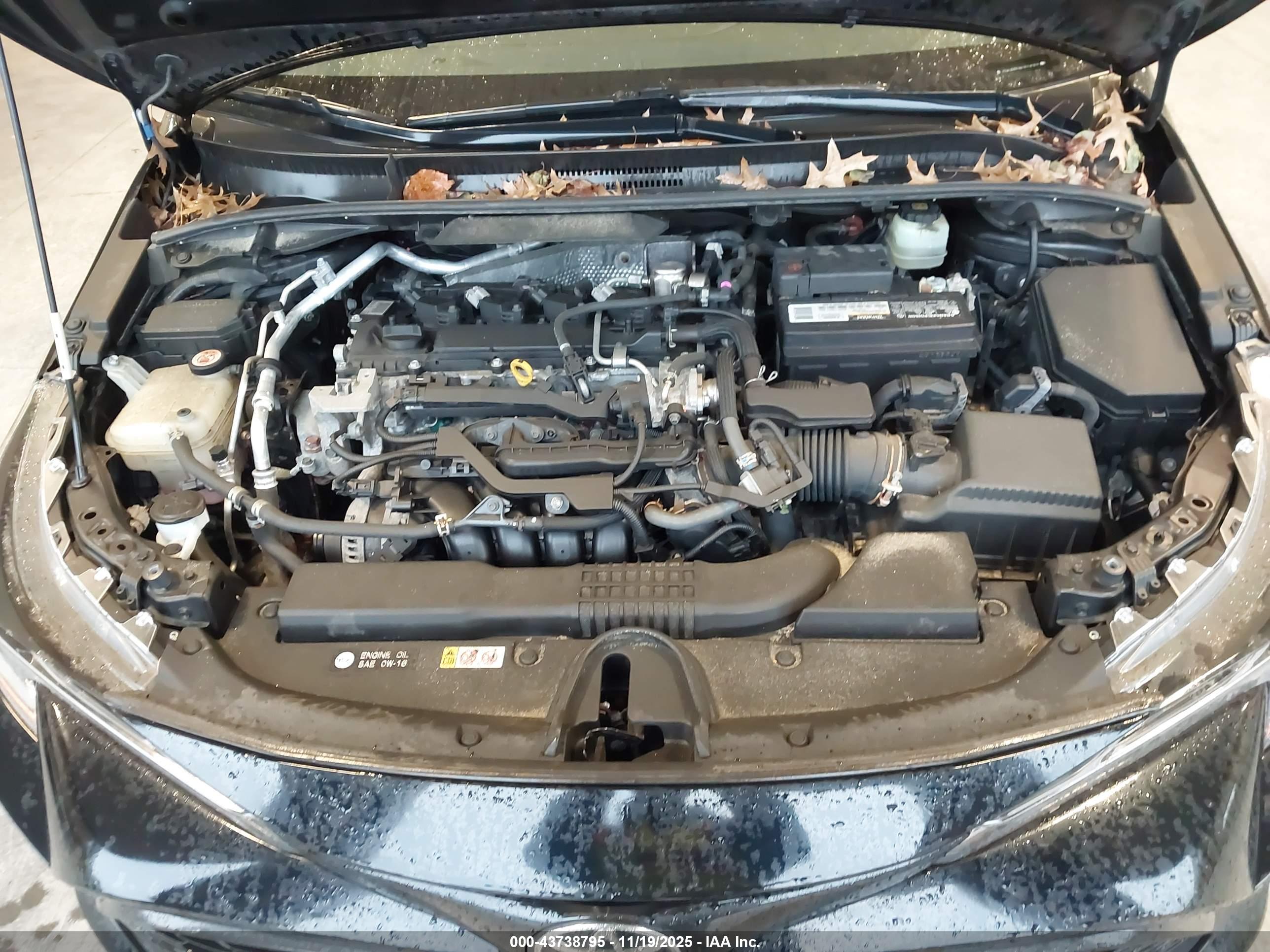 TOYOTA COROLLA image 10