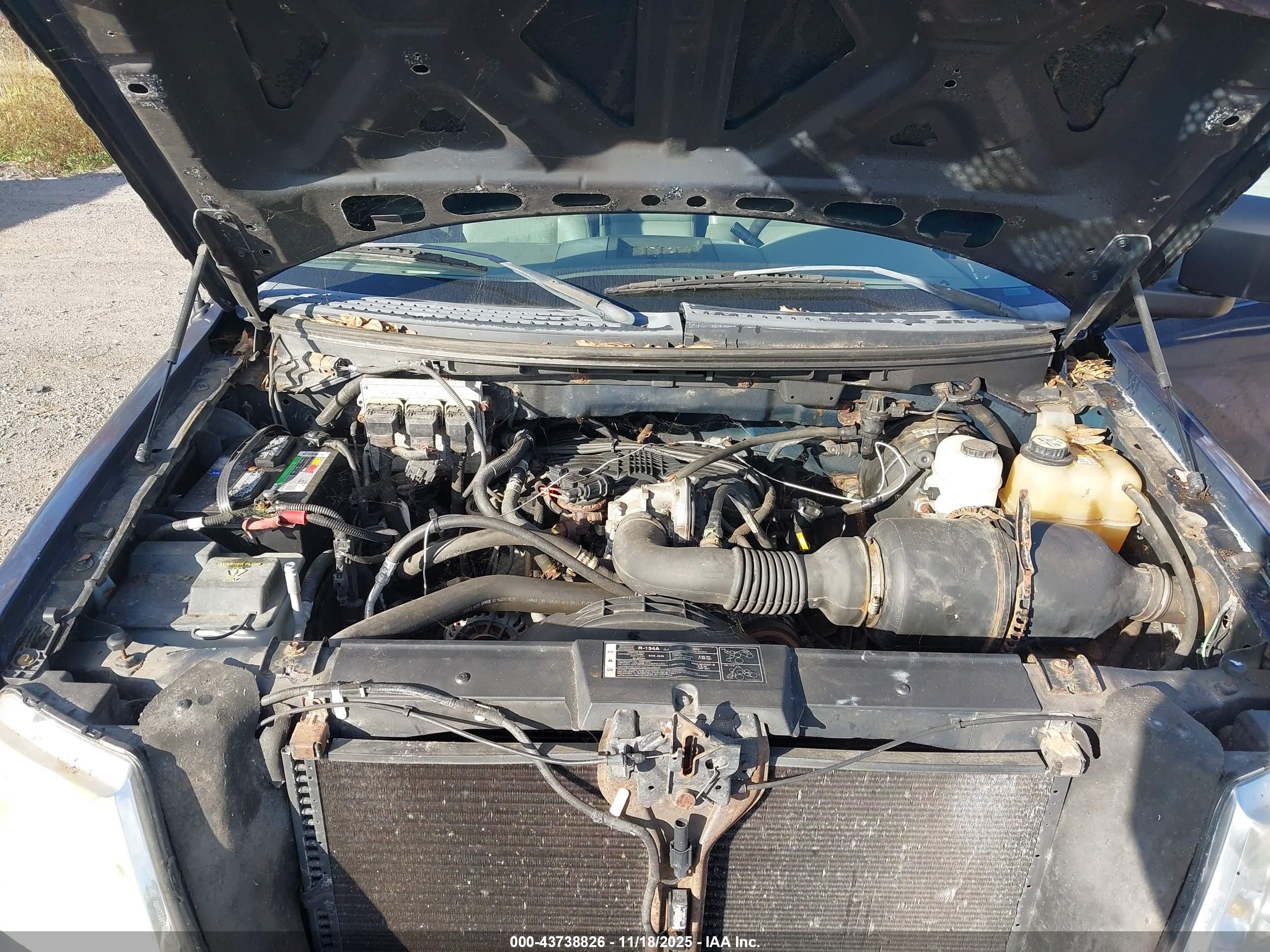 FORD F-150 image 10