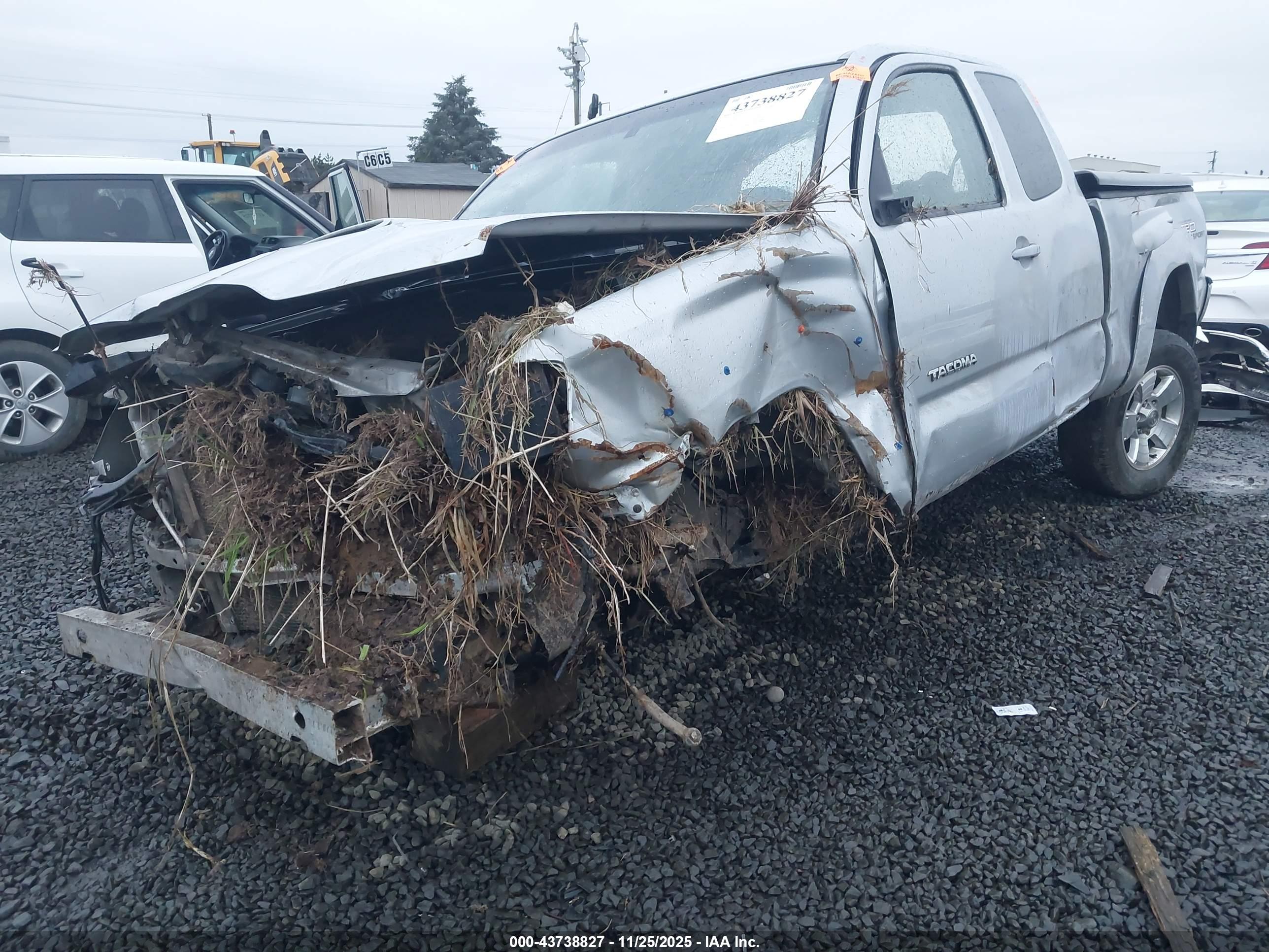 TOYOTA TACOMA image 6