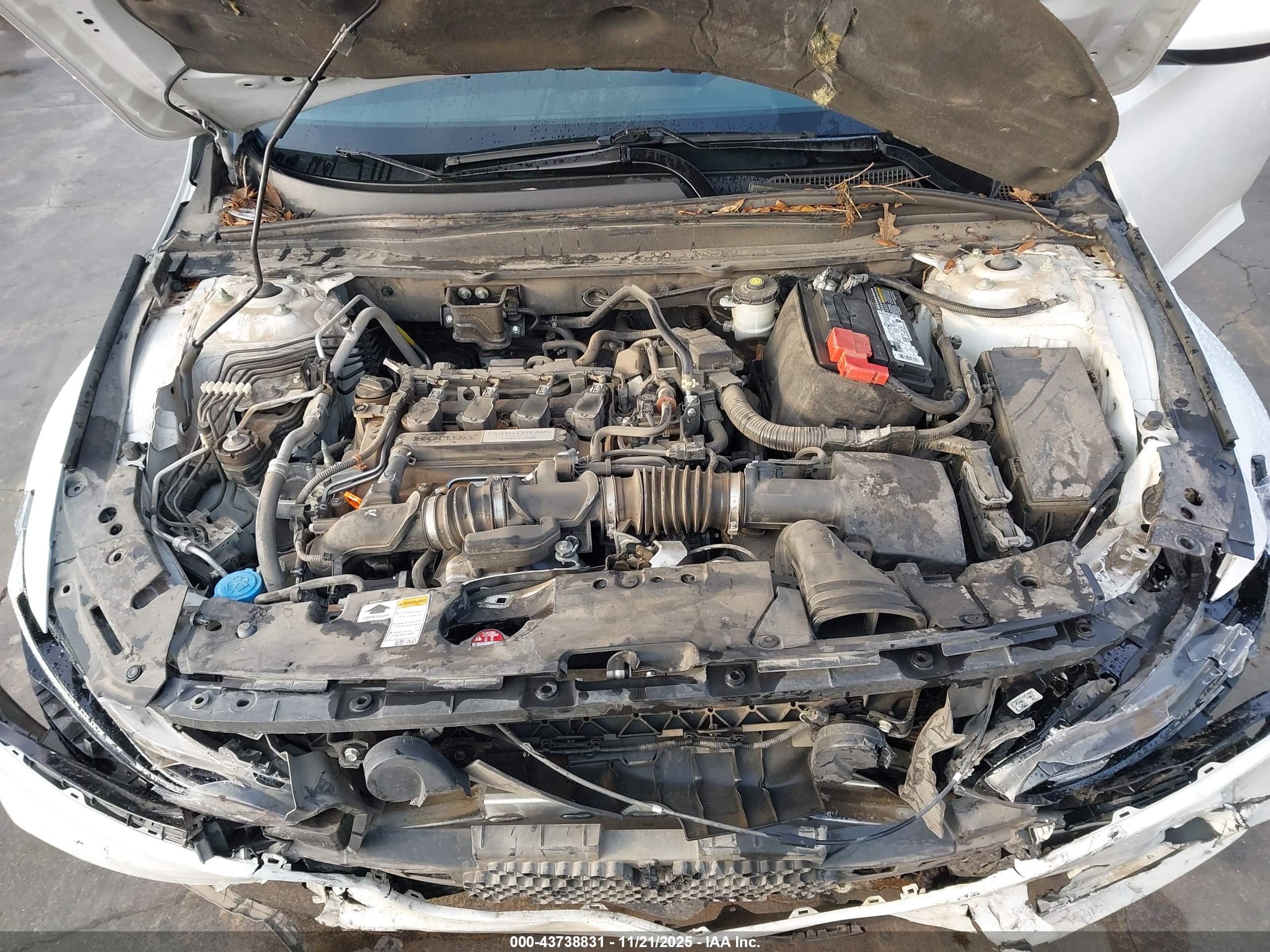 HONDA ACCORD image 10