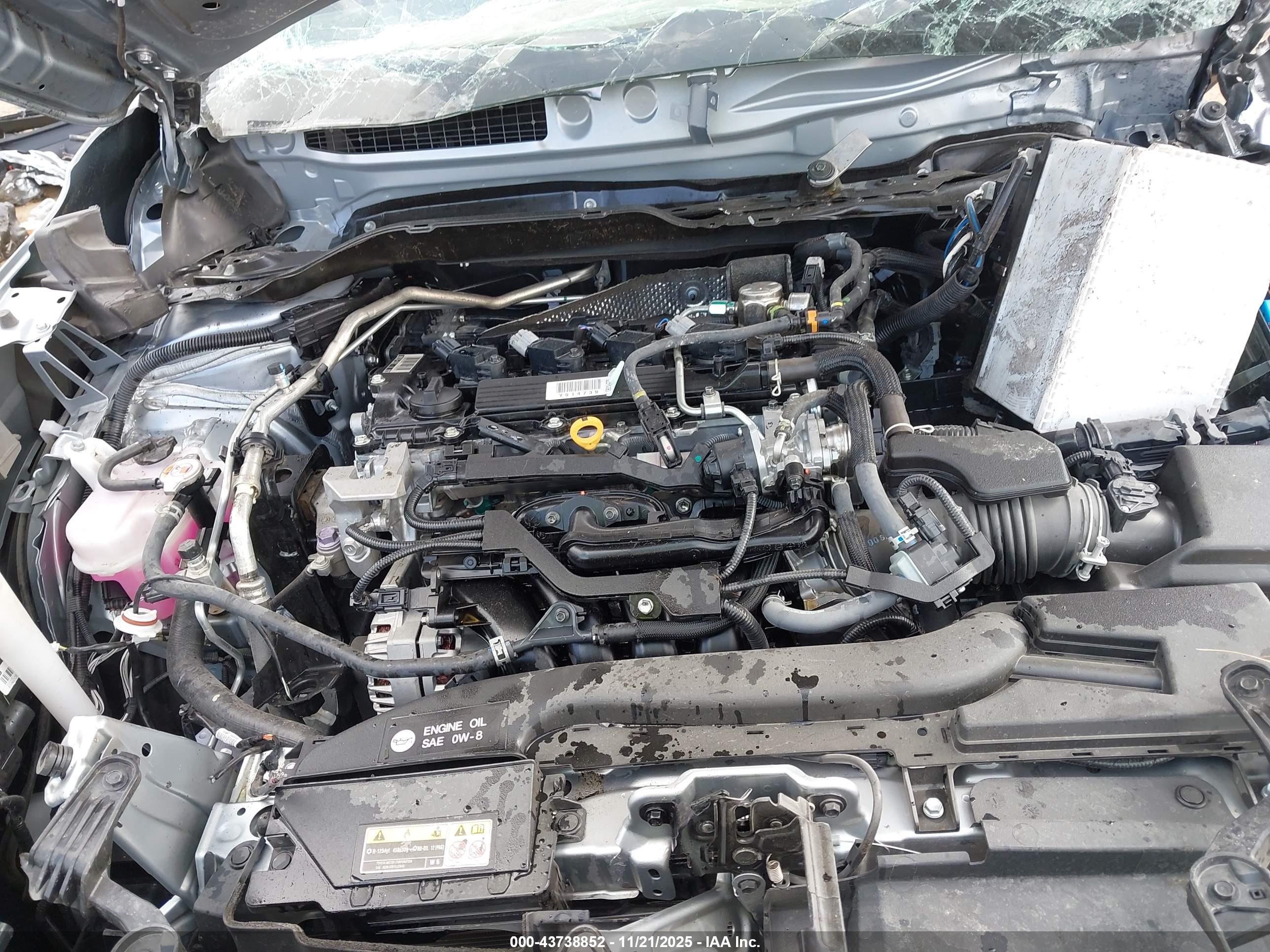 TOYOTA COROLLA image 10
