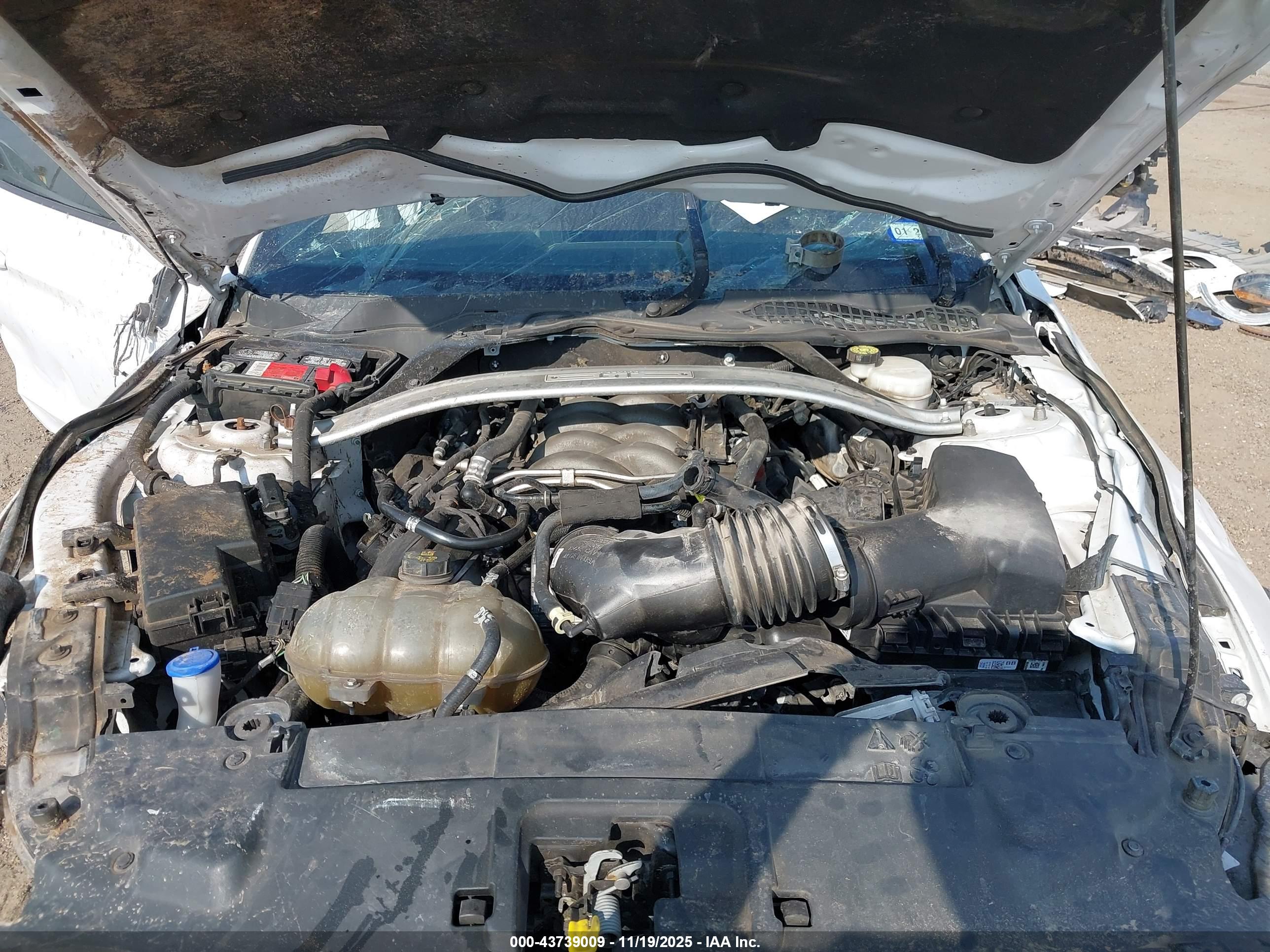FORD MUSTANG image 10