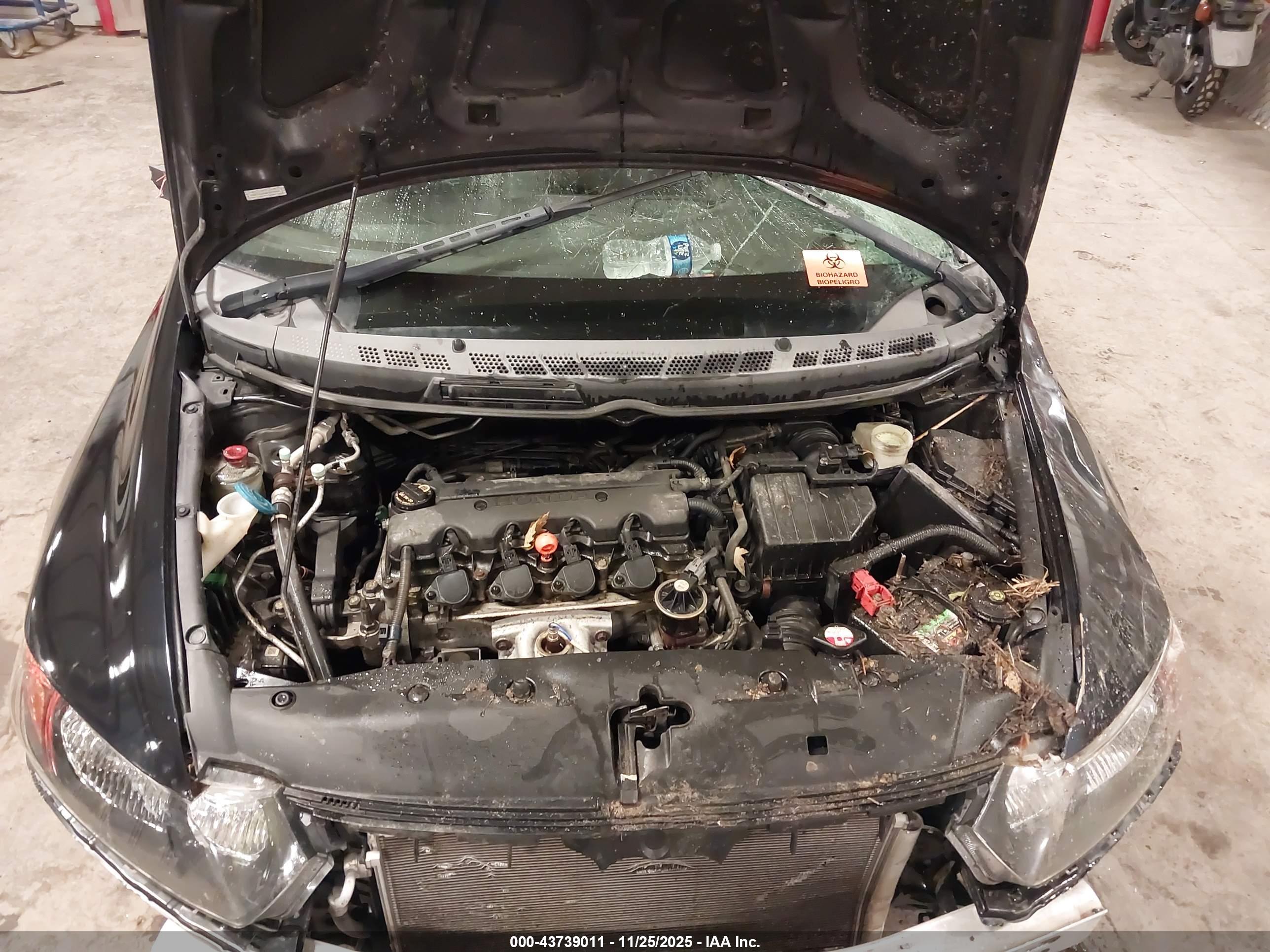 HONDA CIVIC image 10