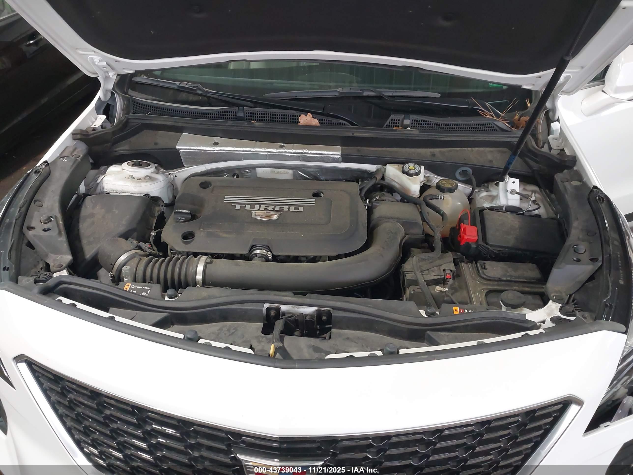 CADILLAC XT4 image 10