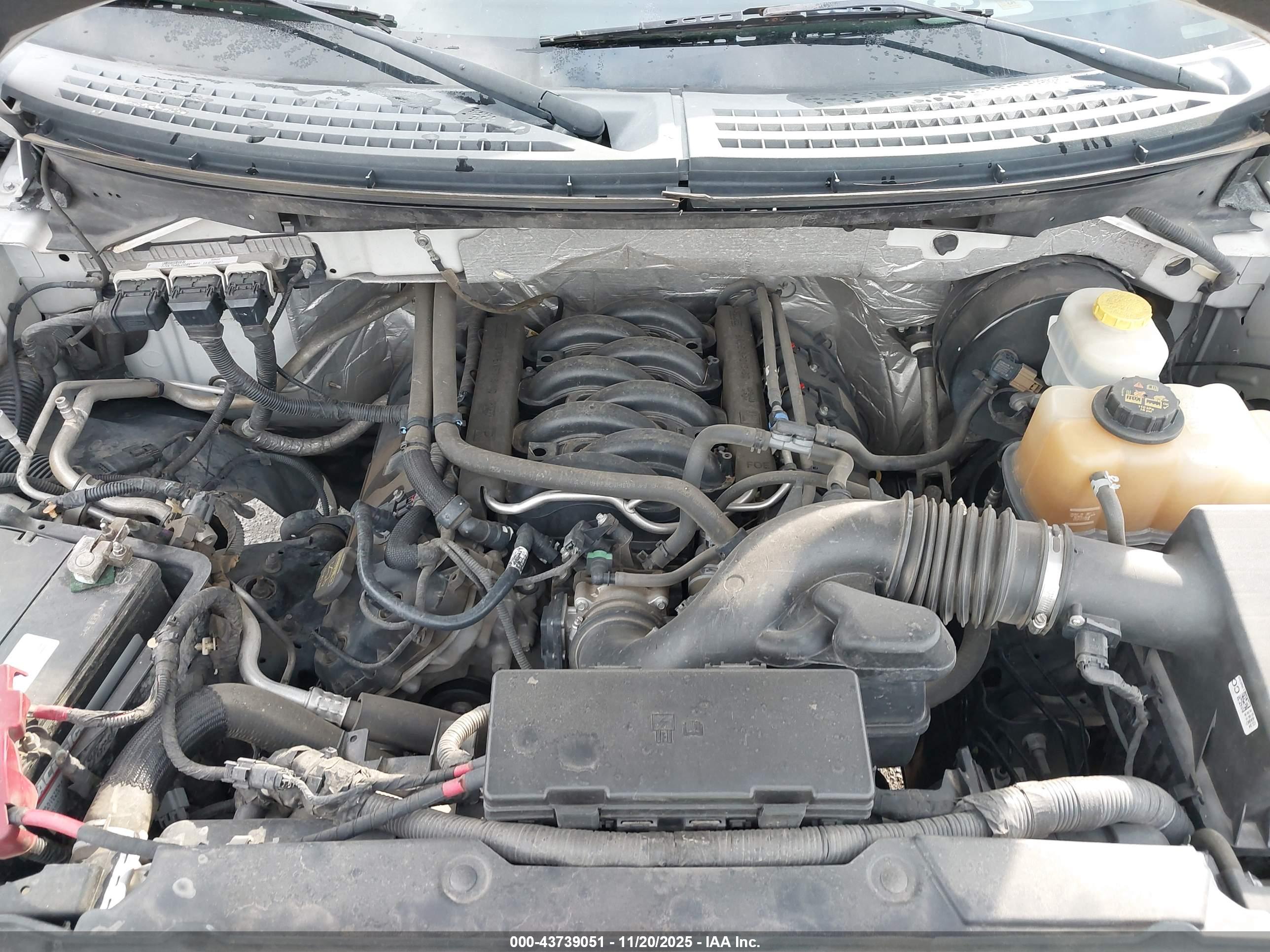 FORD F-150 image 10