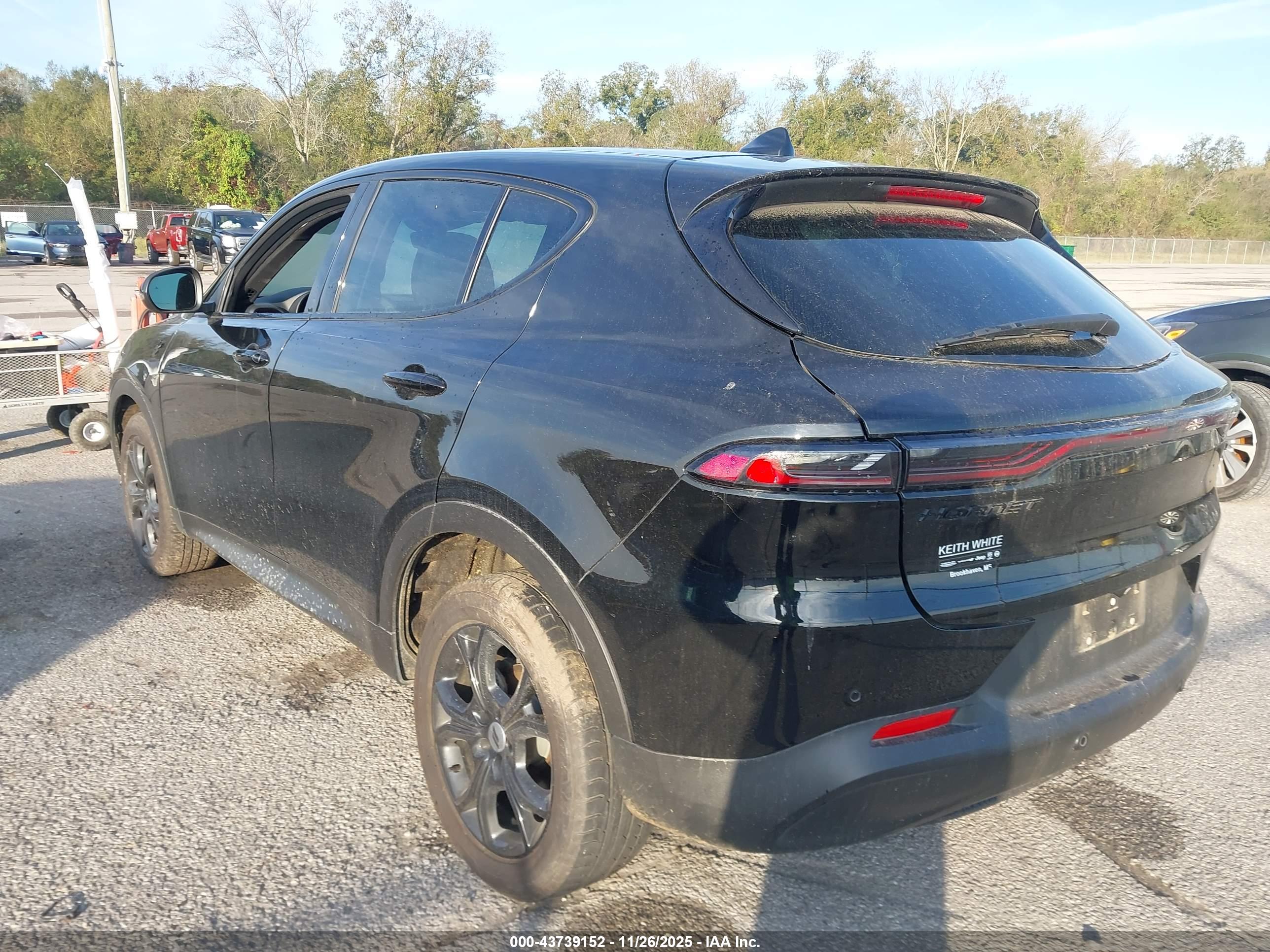 DODGE HORNET image 3