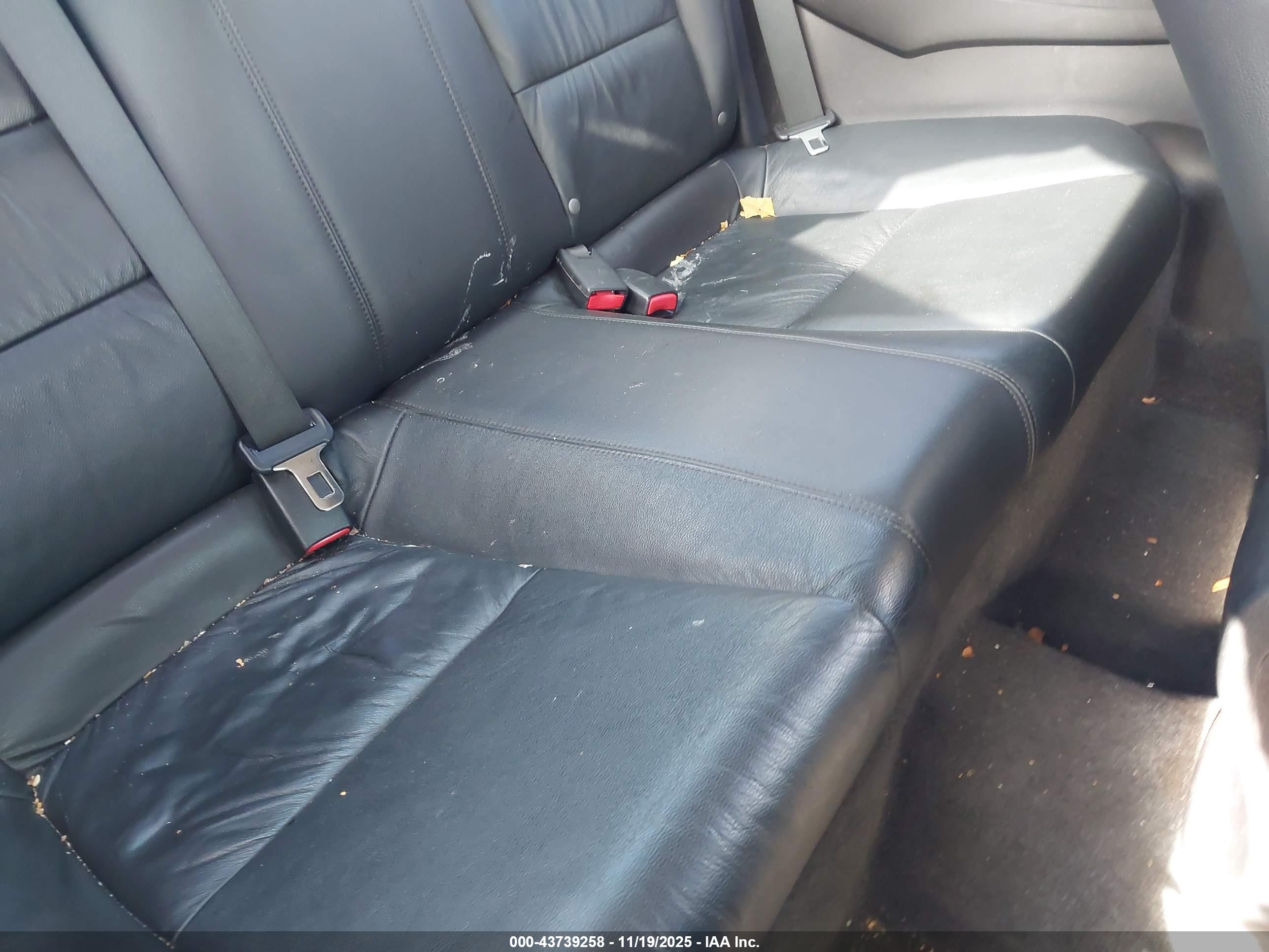 HONDA ACCORD image 8