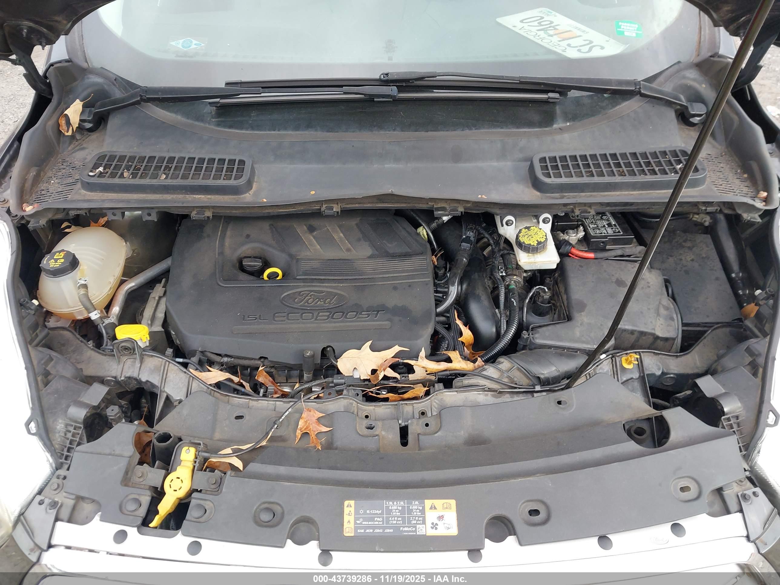 FORD ESCAPE image 10