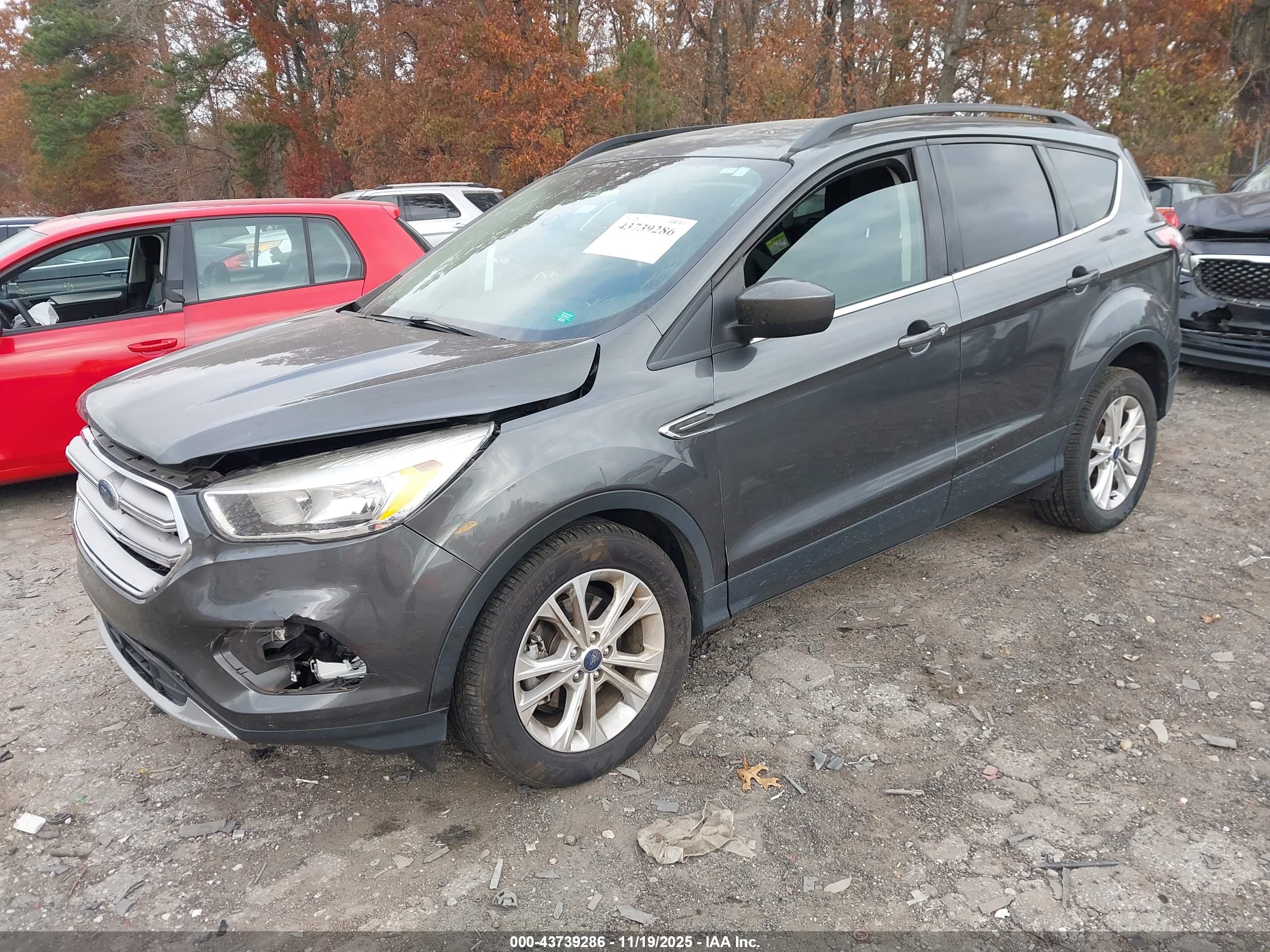 FORD ESCAPE image 2