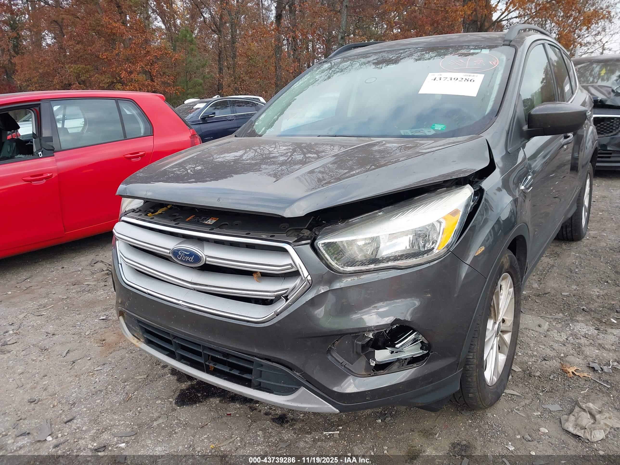 FORD ESCAPE image 6