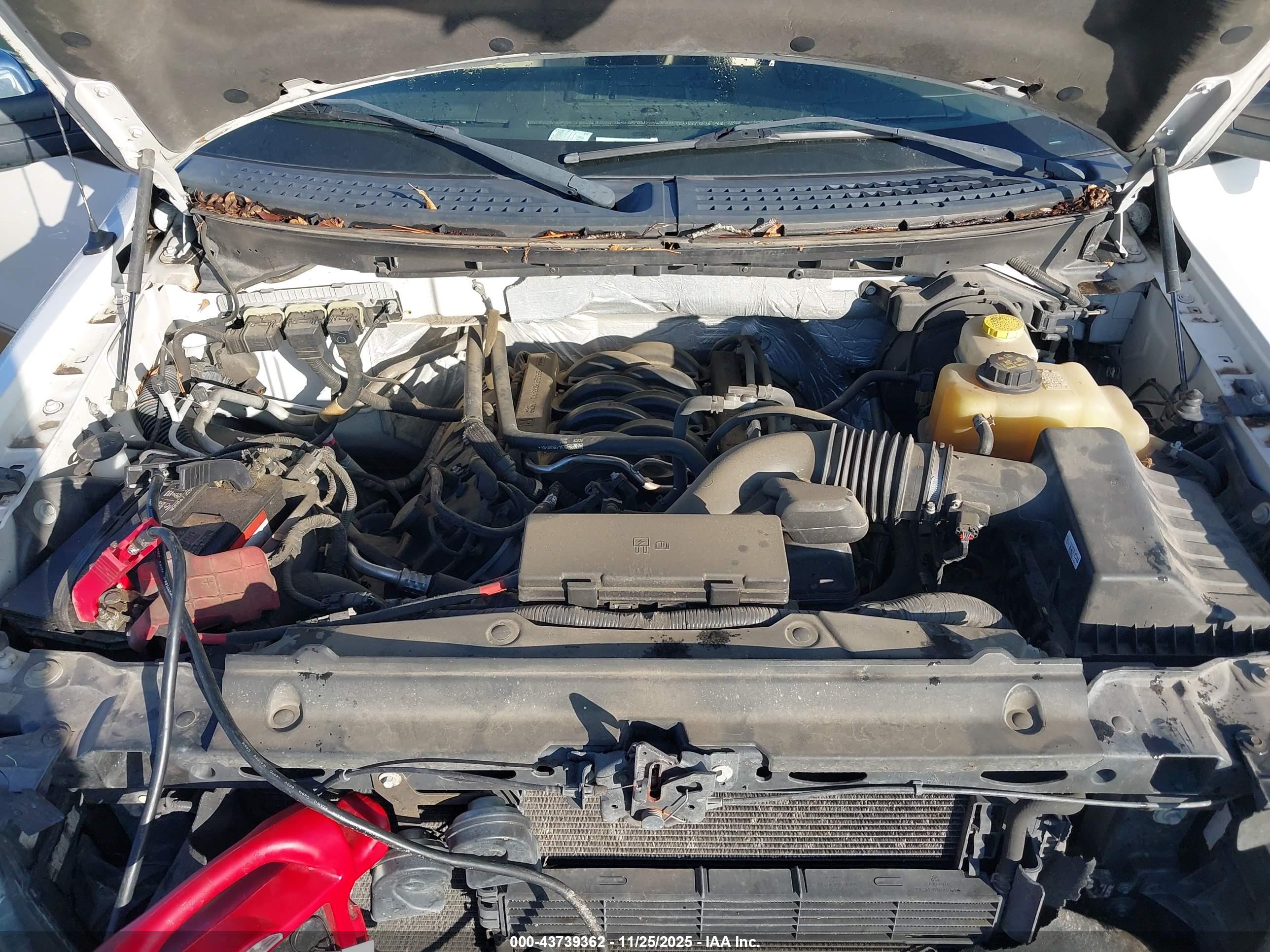 FORD F-150 image 10