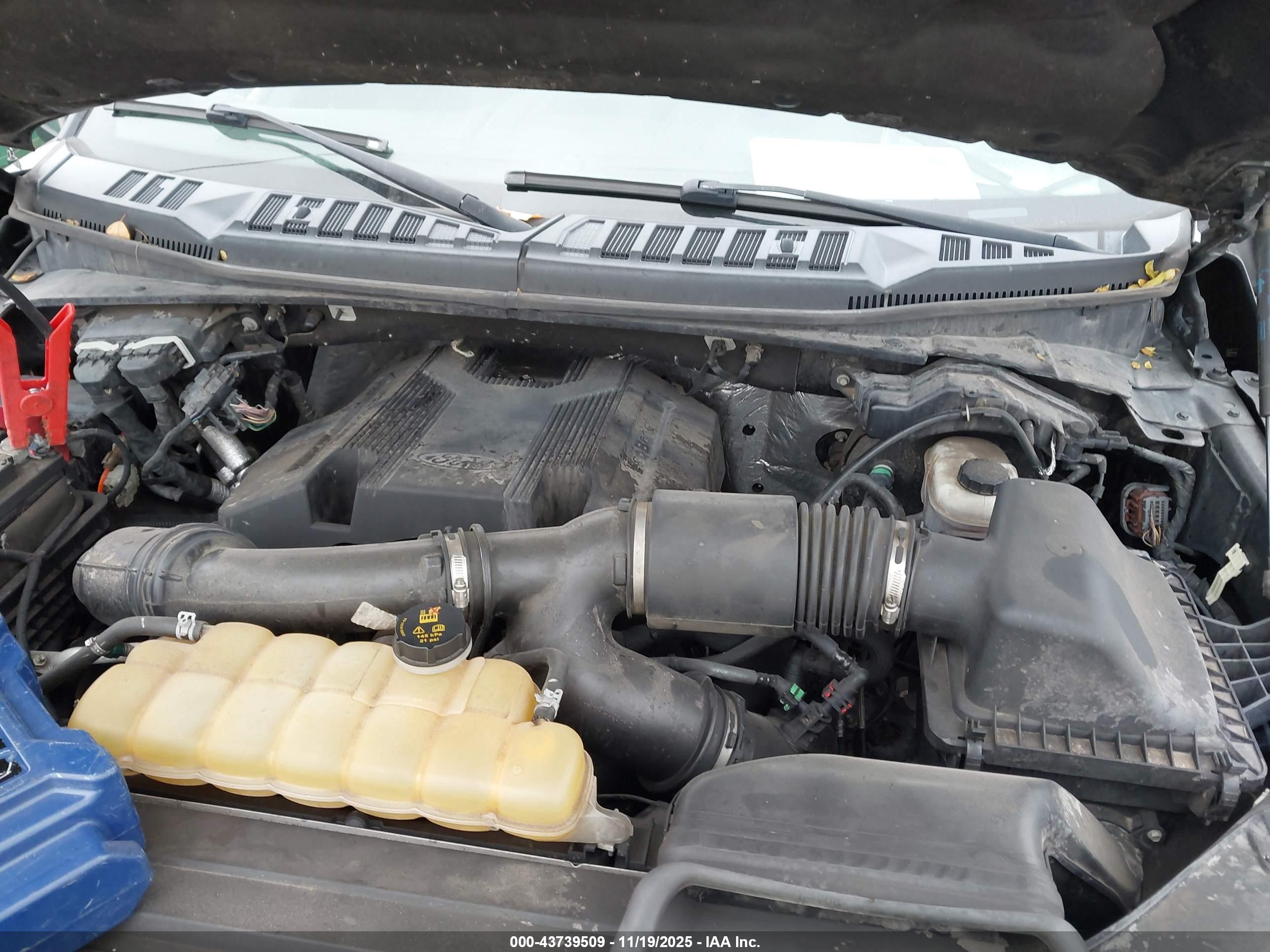 FORD F-150 image 10