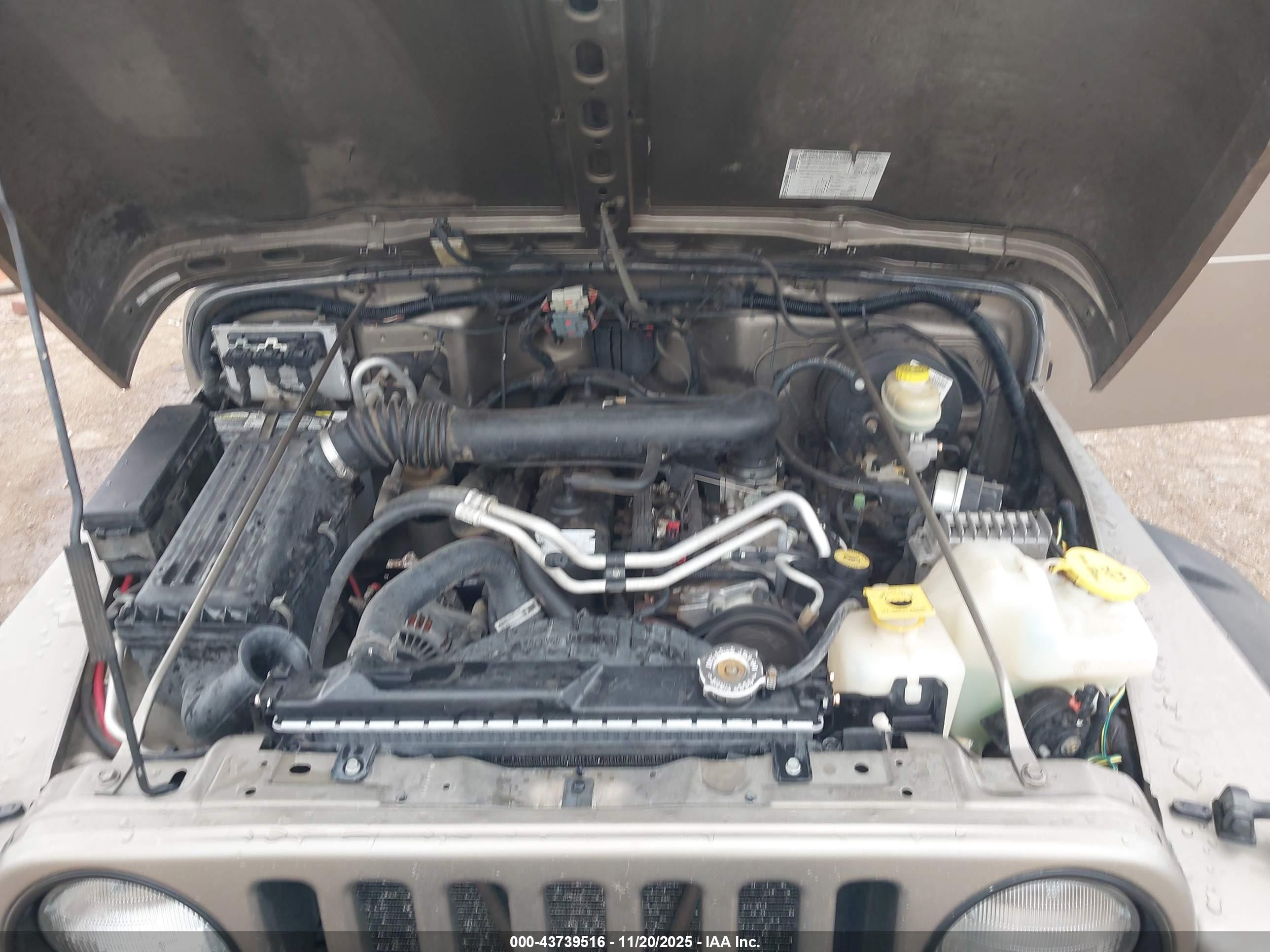 JEEP WRANGLER image 10
