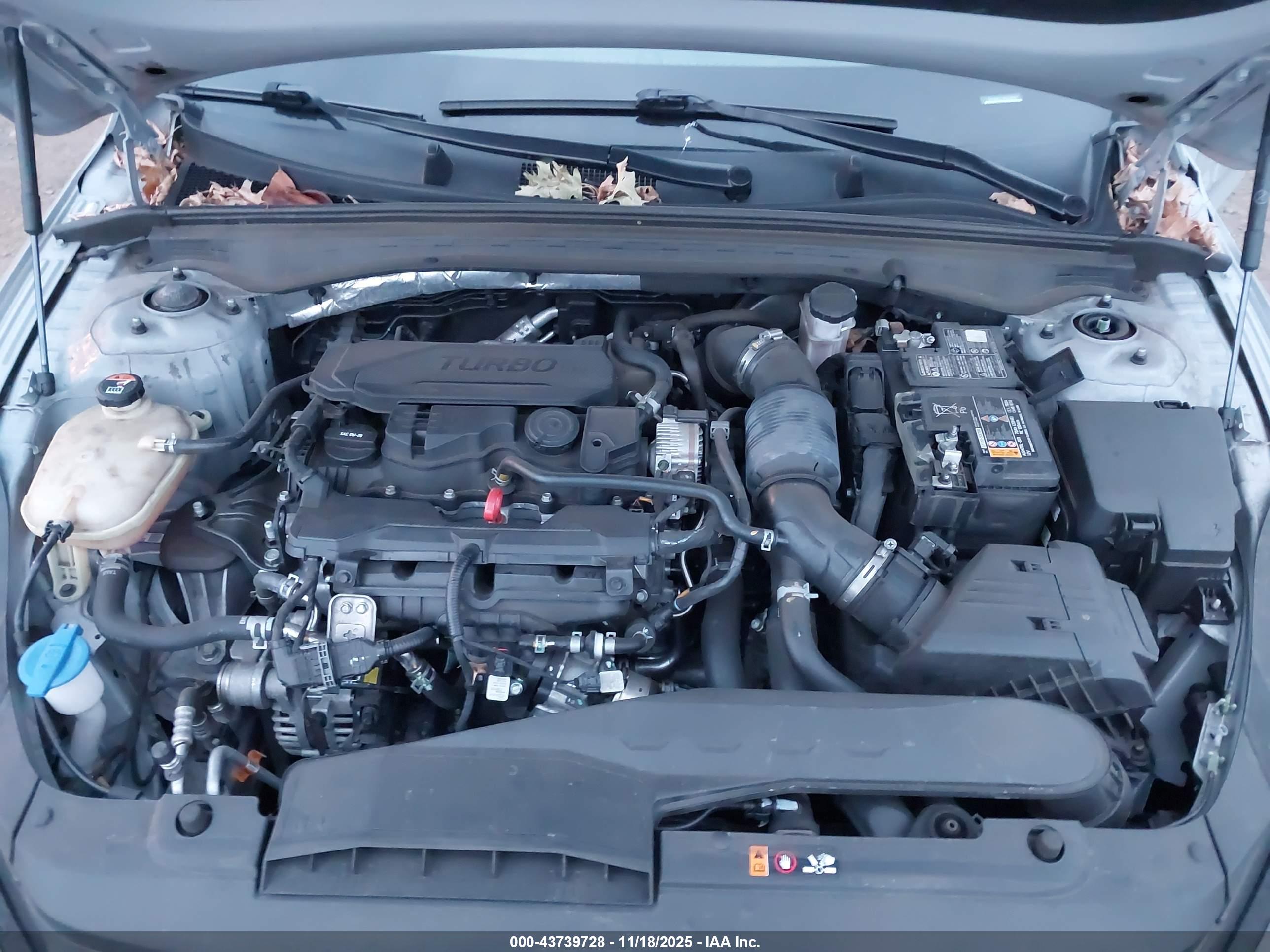 KIA K5 image 10