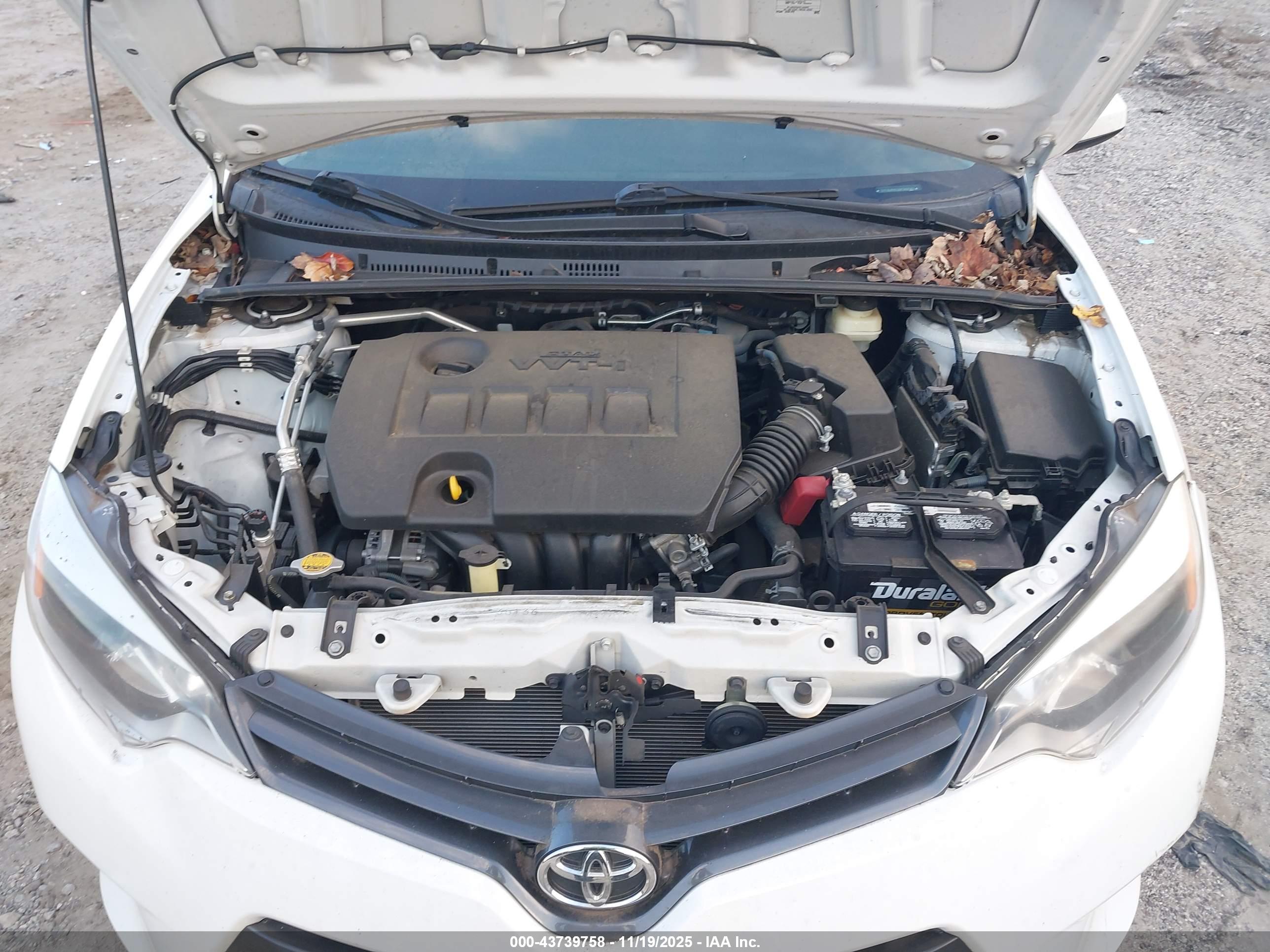 TOYOTA COROLLA image 10